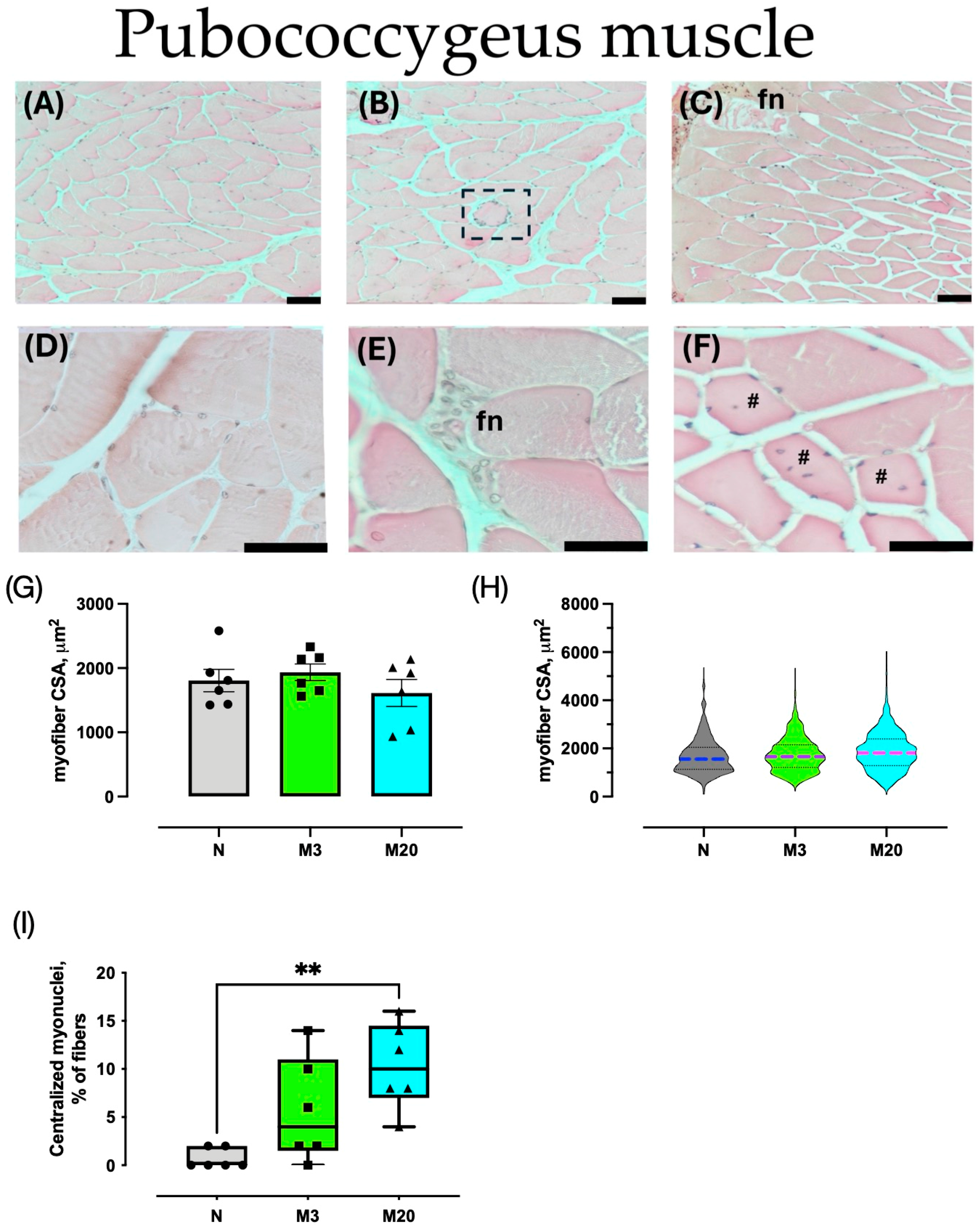 Medicina 60 00675 g003