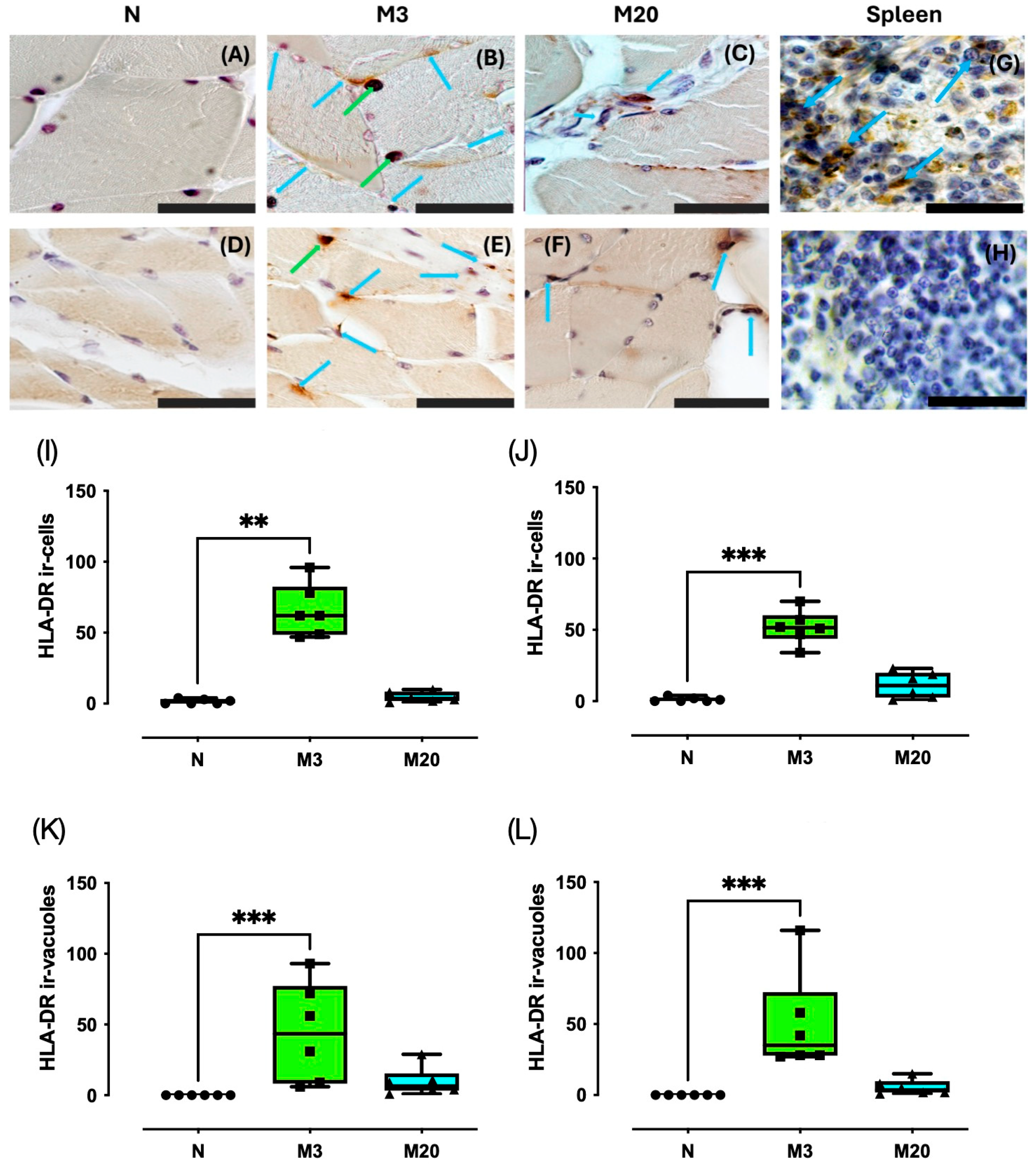 Medicina 60 00675 g004
