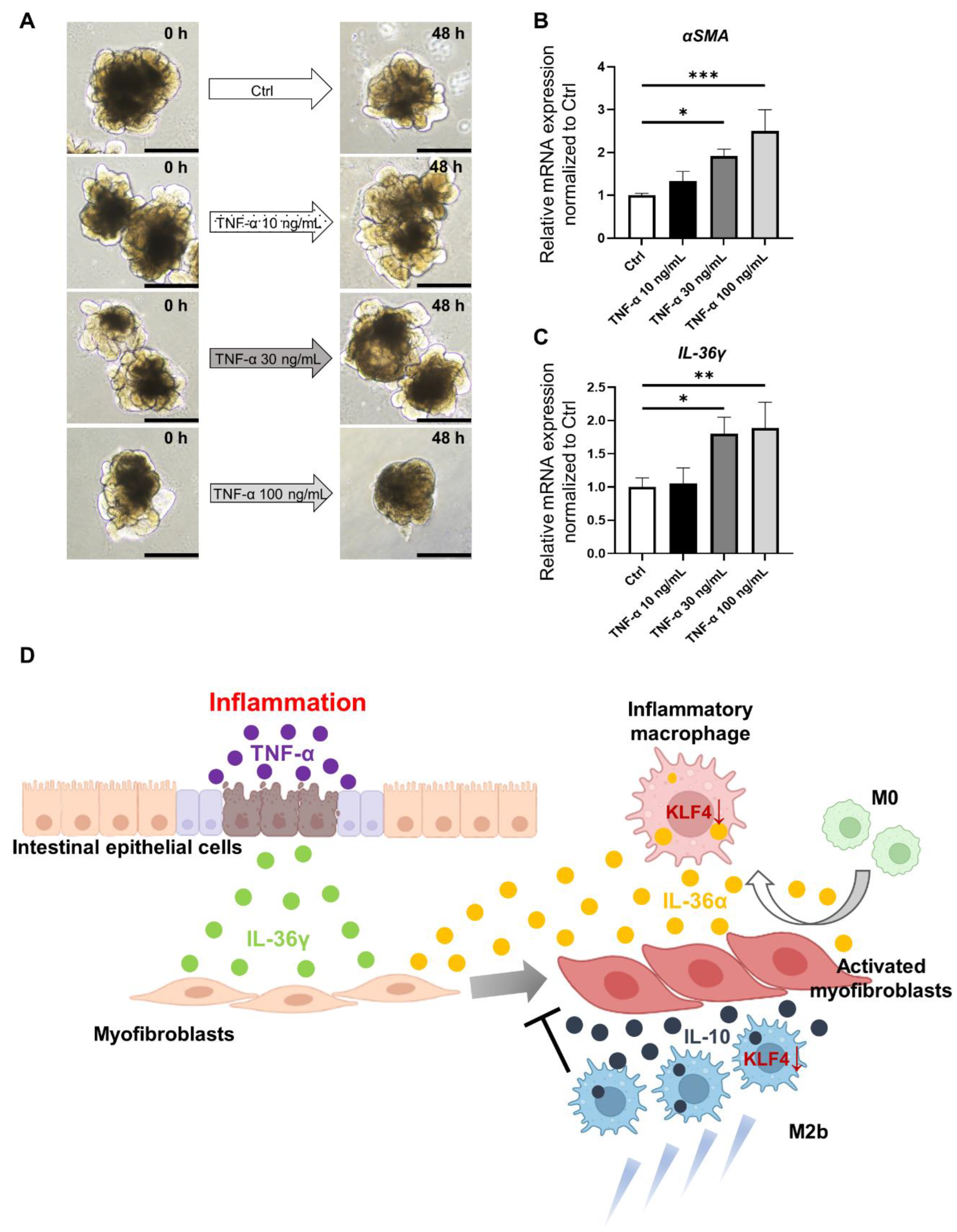 Medicina 60 00713 g005