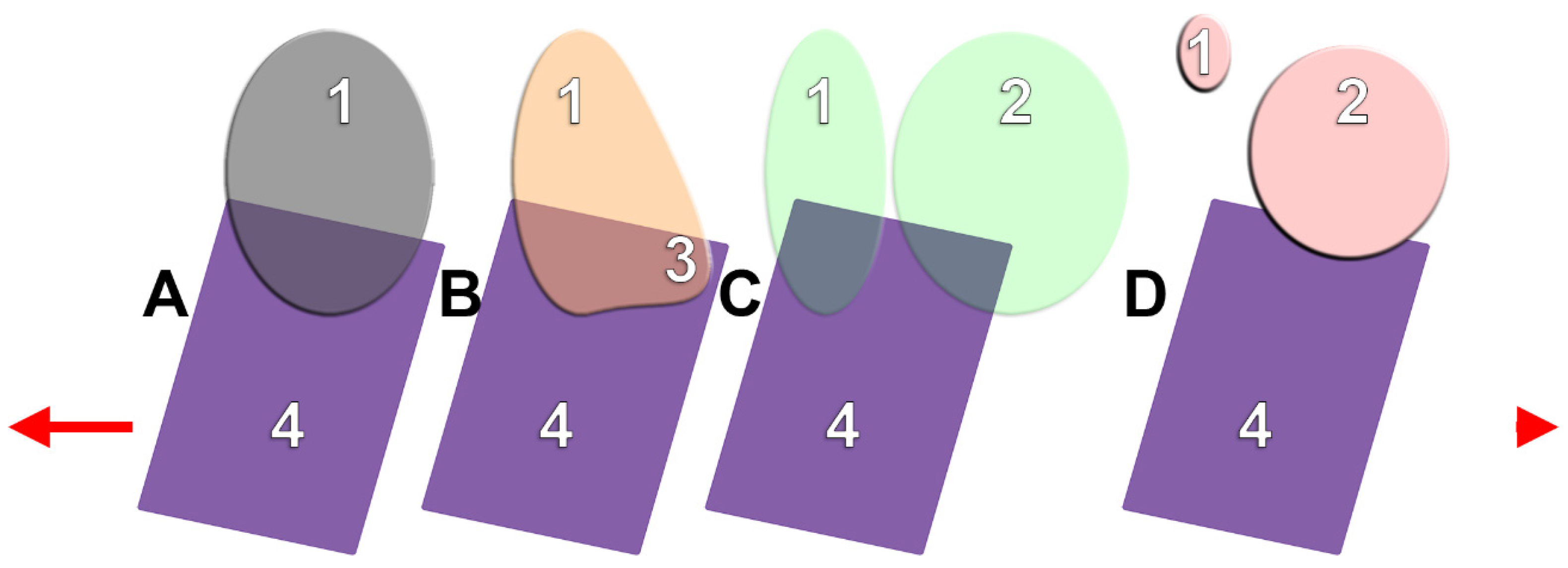 Medicina 60 00726 g001 Medicina 60 00726 g001