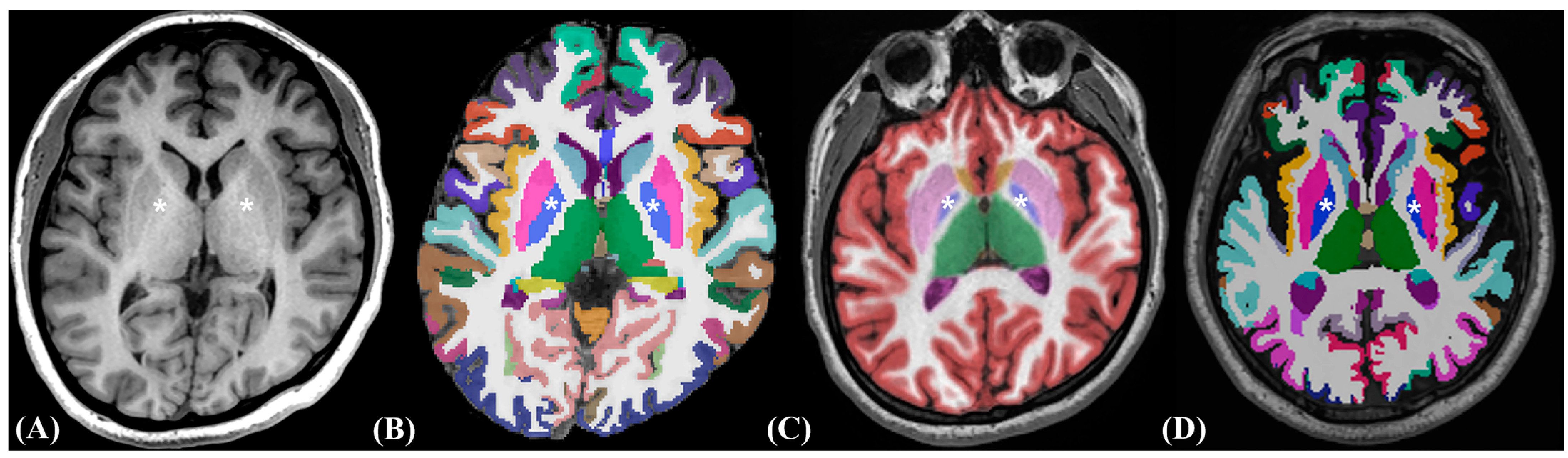 Medicina 60 00727 g001 Medicina 60 00727 g001