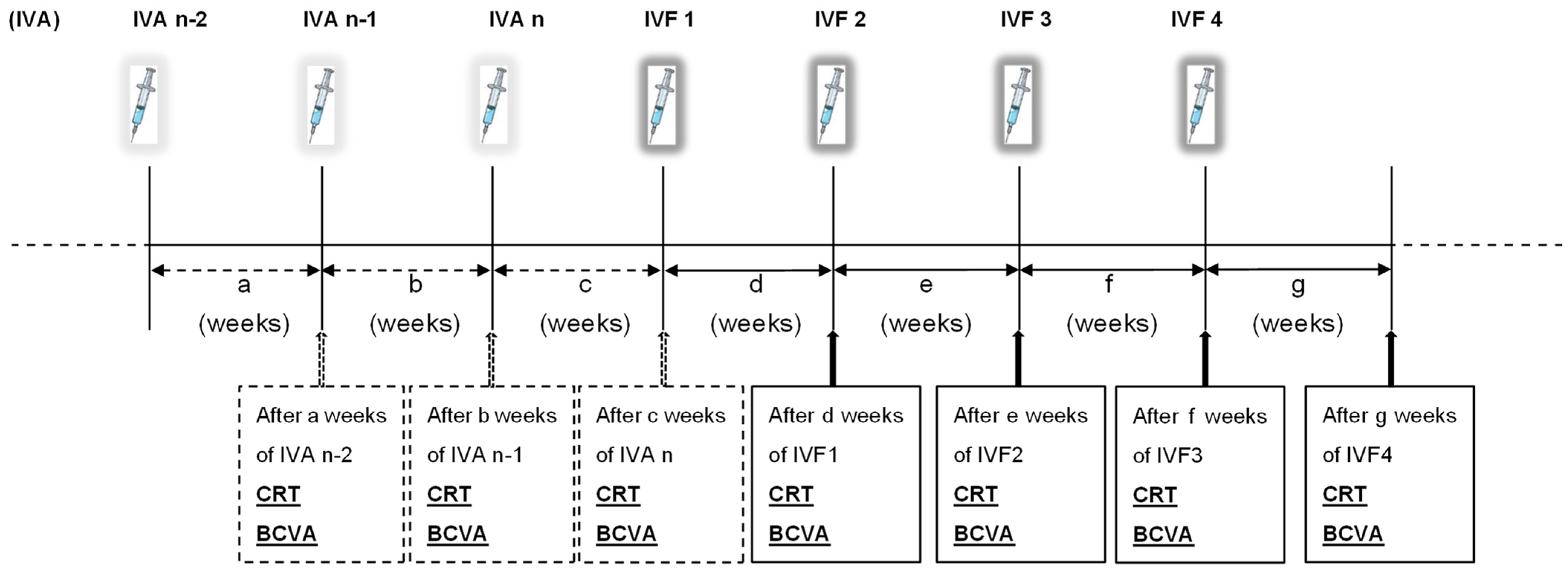 Medicina 60 00732 g001