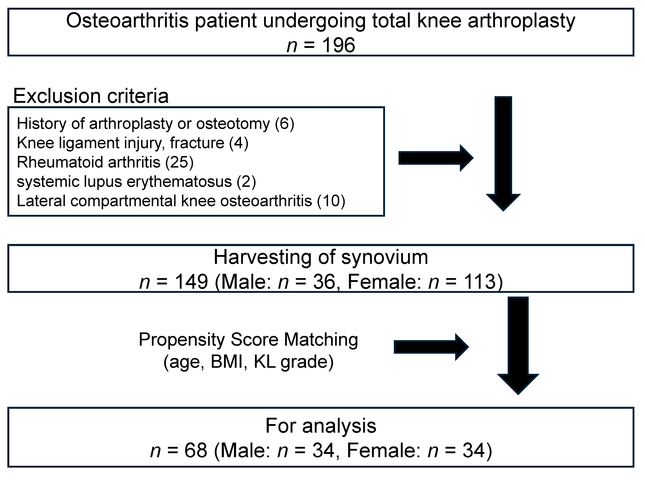 Medicina 60 00741 g001