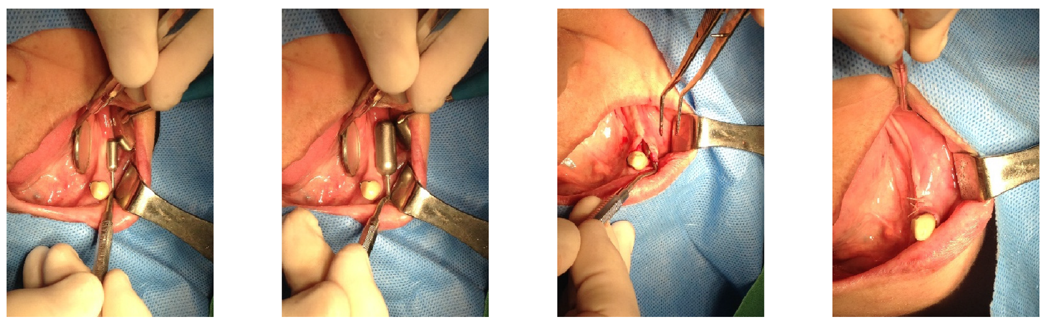 Medicina 60 00759 g003