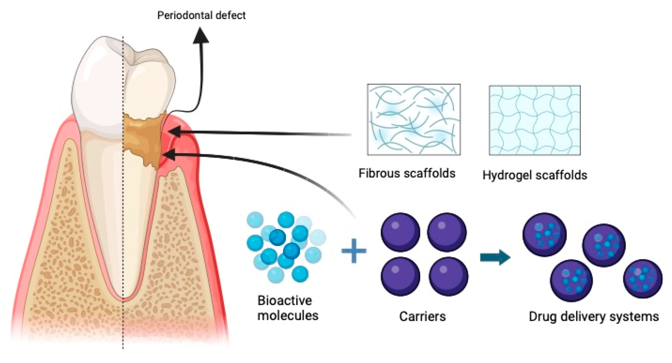 Medicina 60 00773 g002