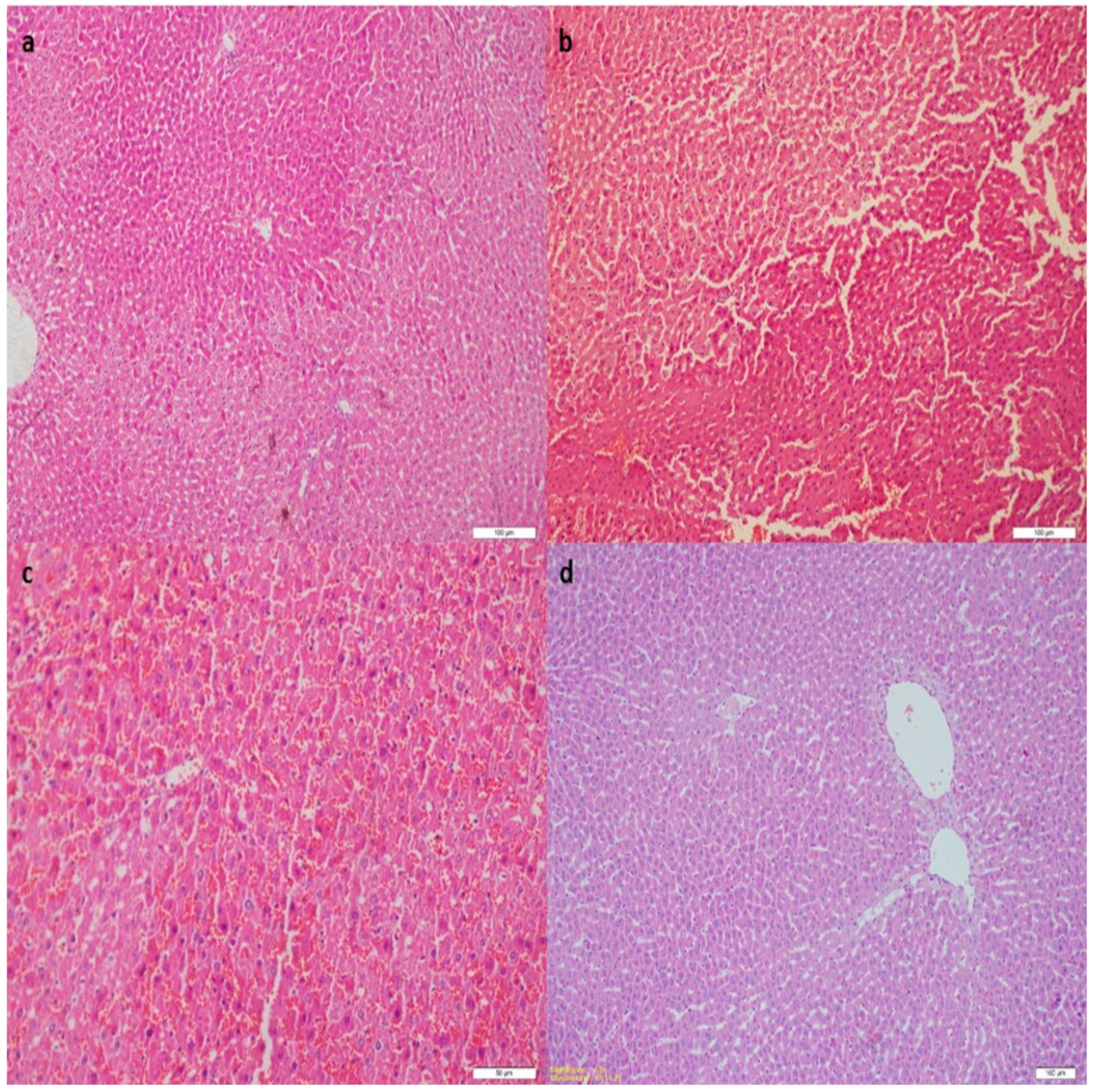 Medicina 60 00783 g001
