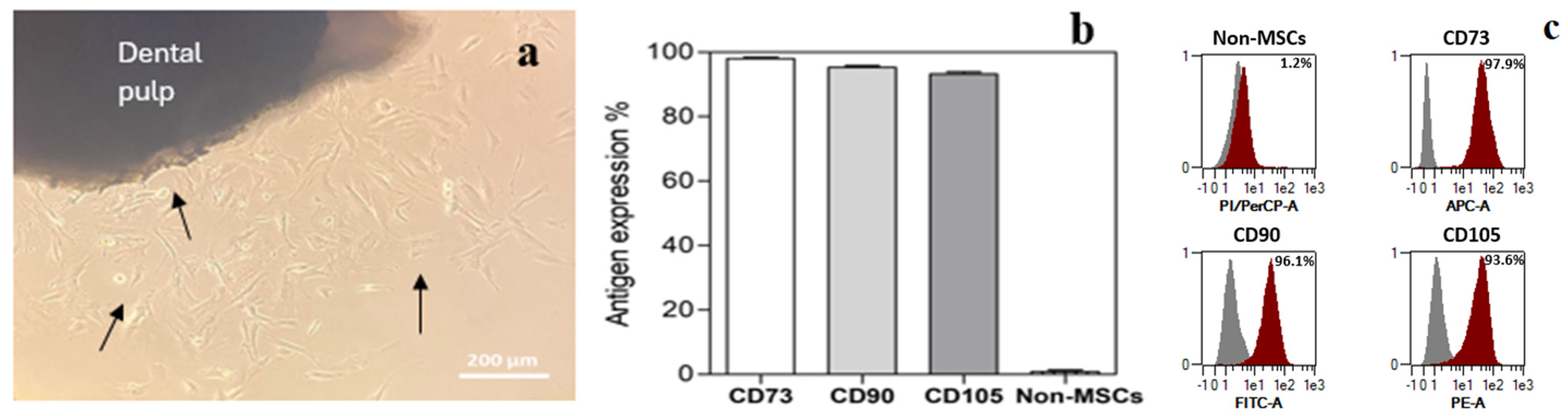 Medicina 60 00787 g001
