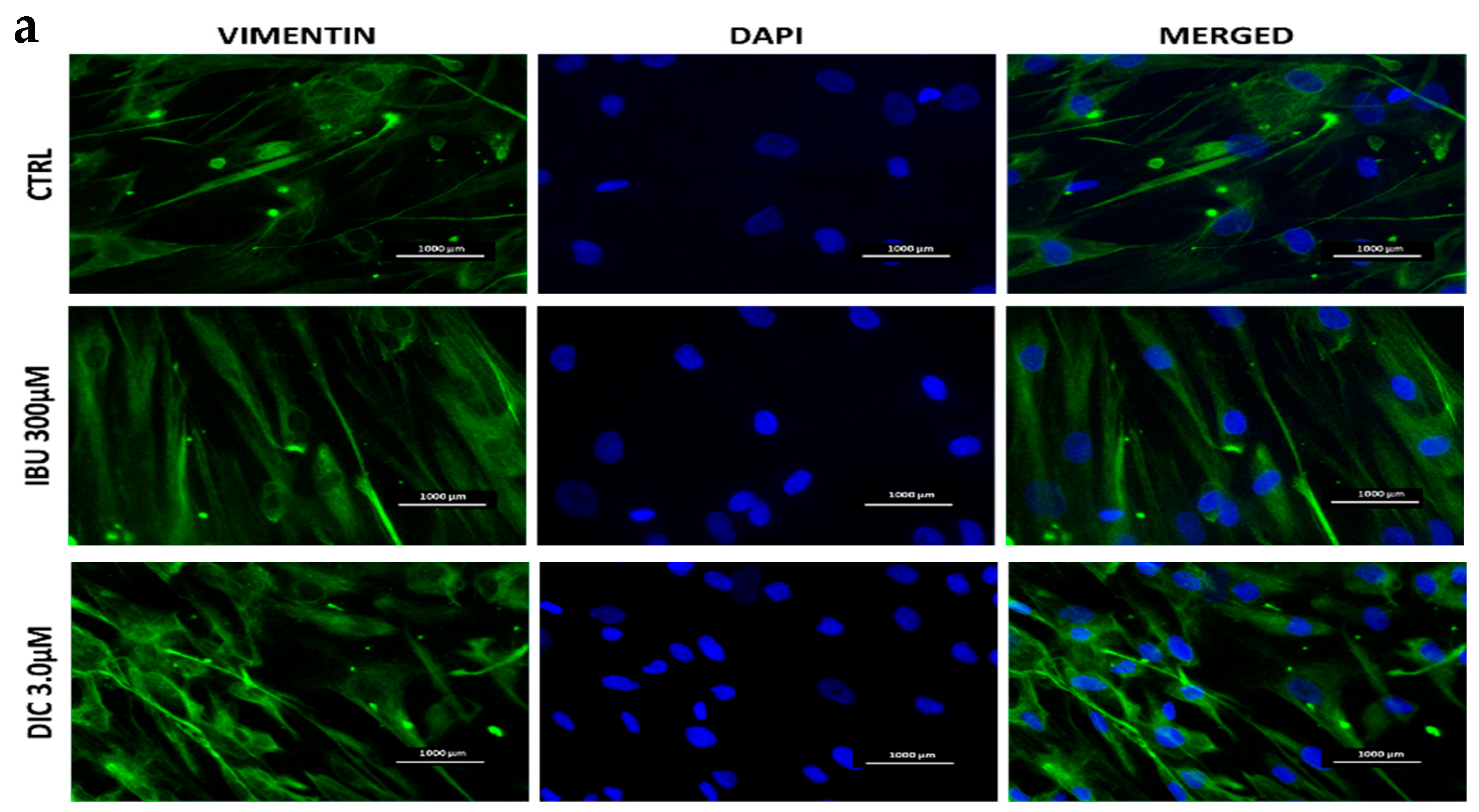 Medicina 60 00787 g002a