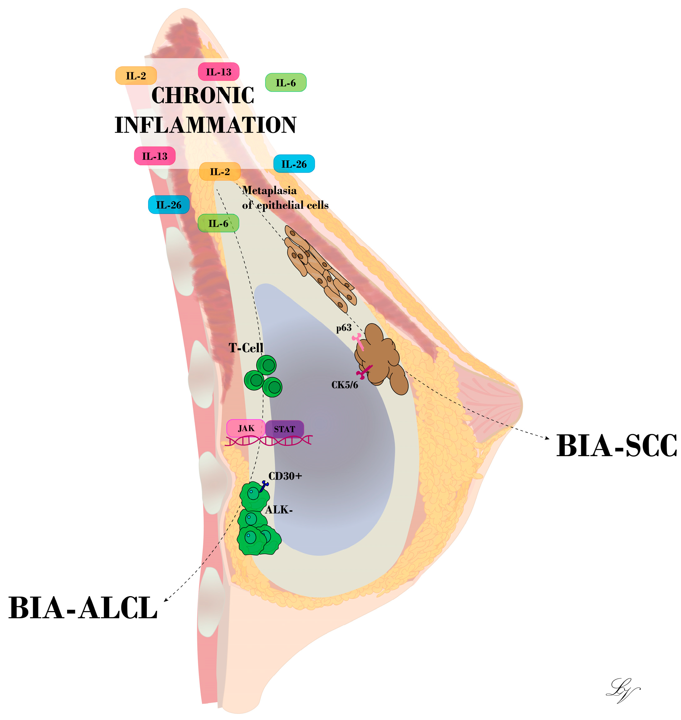 Medicina 60 00793 g001