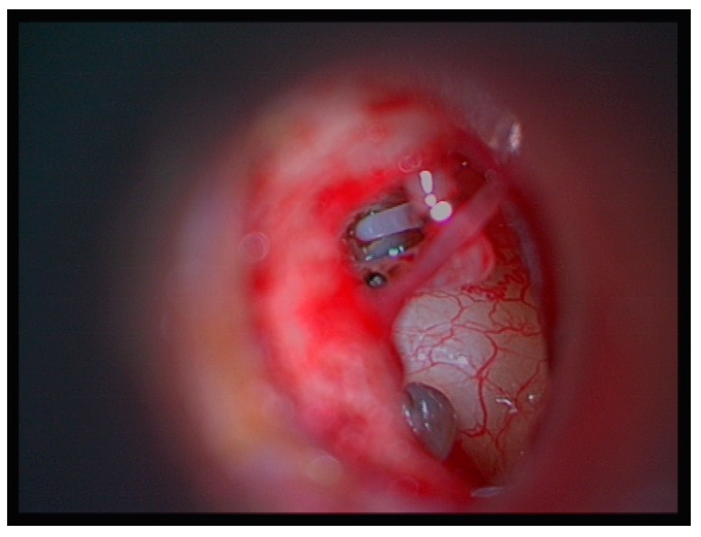 Medicina 60 00803 g001