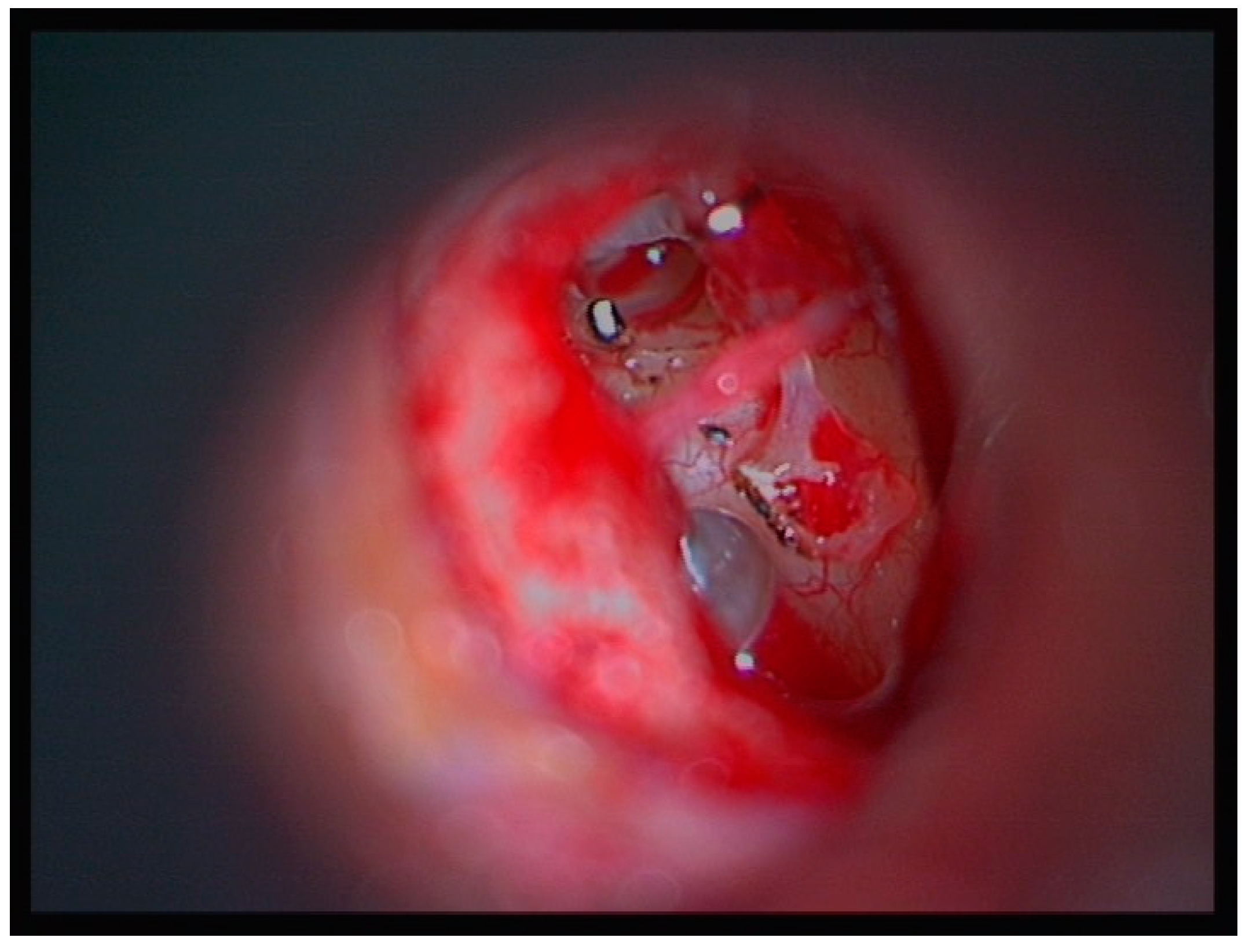 Medicina 60 00803 g002