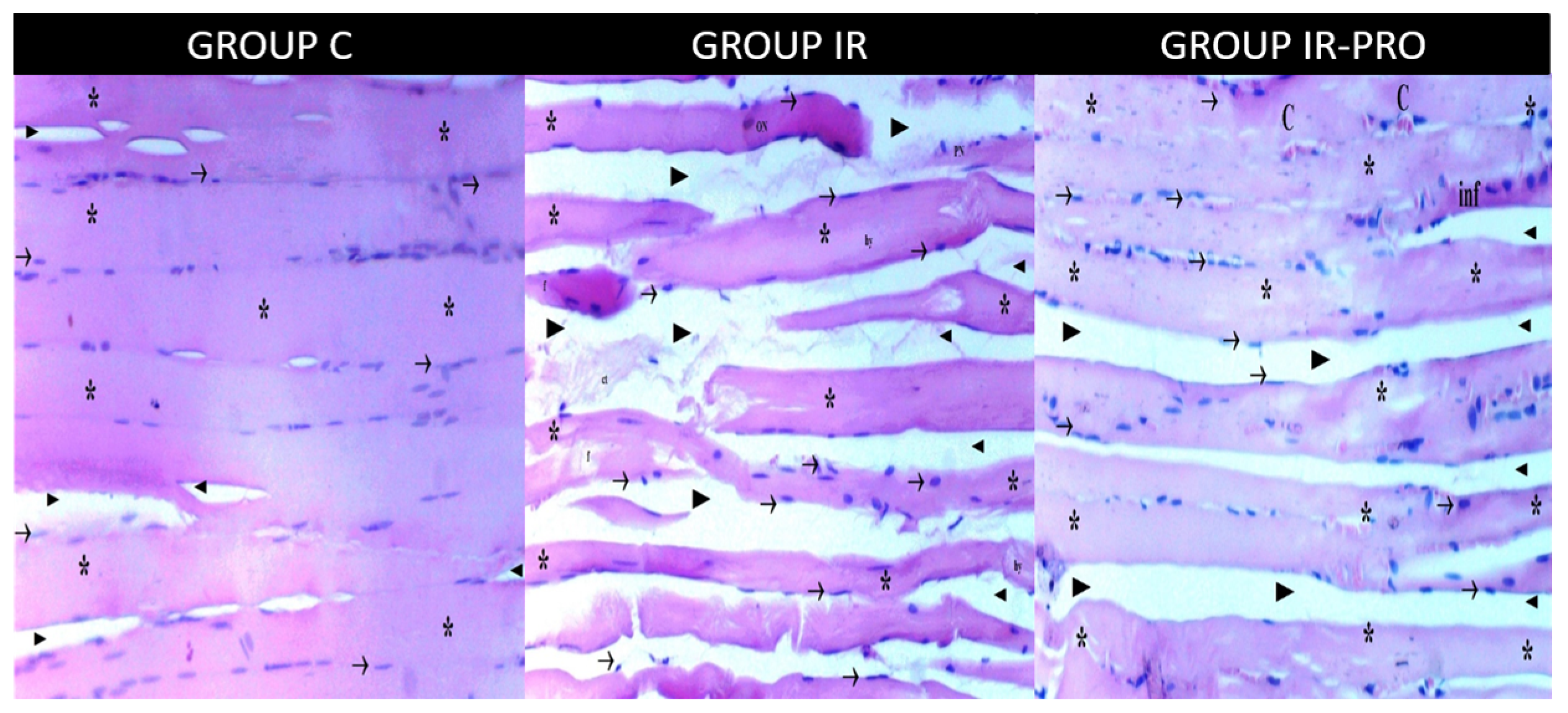 Medicina 60 00804 g001