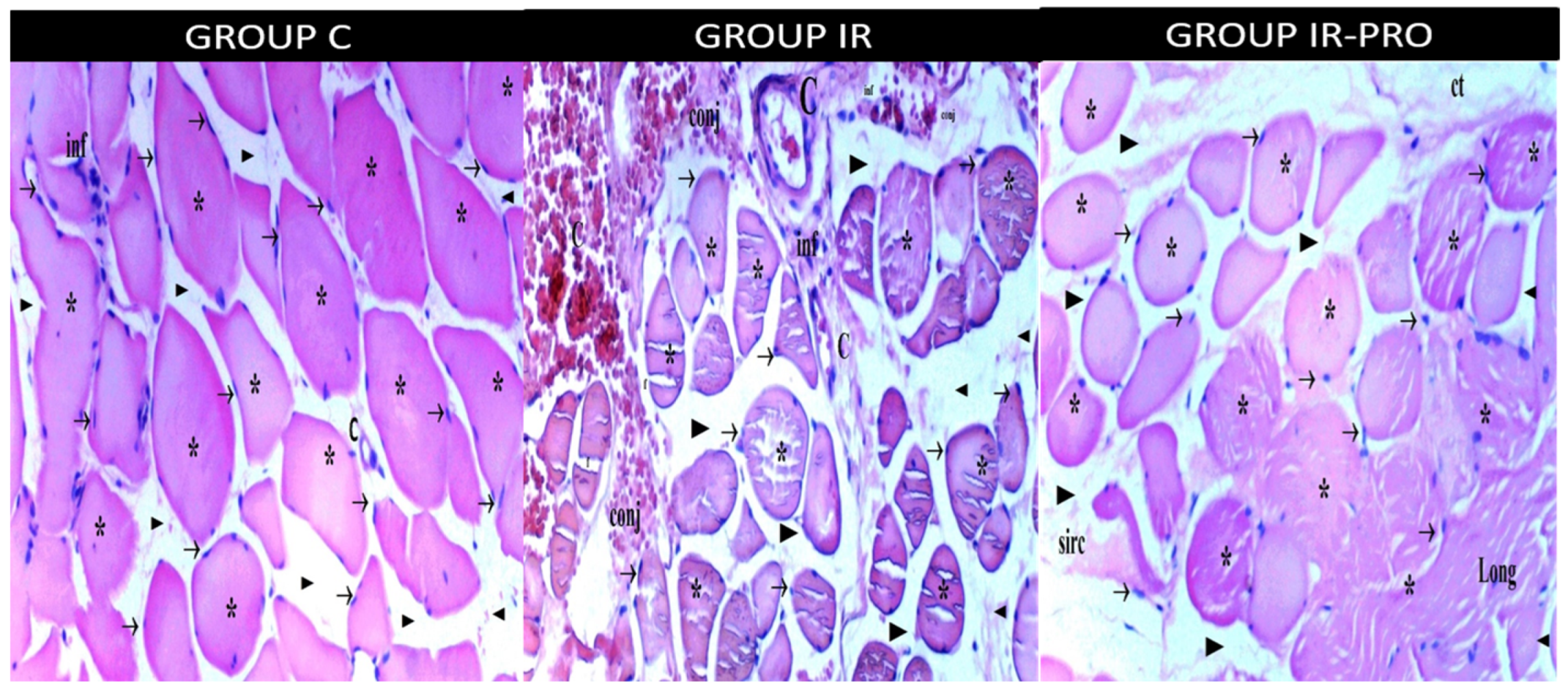 Medicina 60 00804 g002