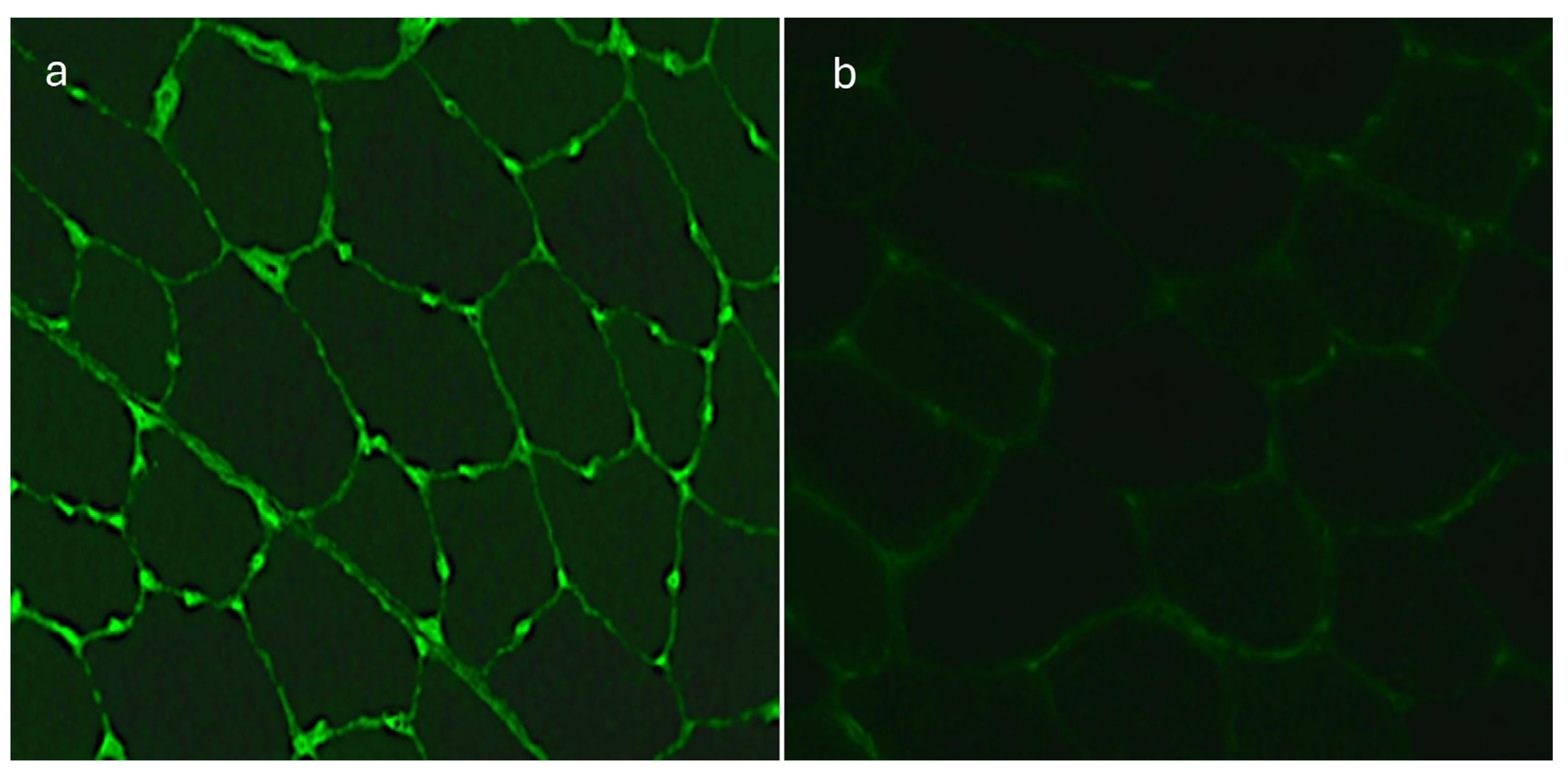 Medicina 60 00810 g004 Medicina 60 00810 g004
