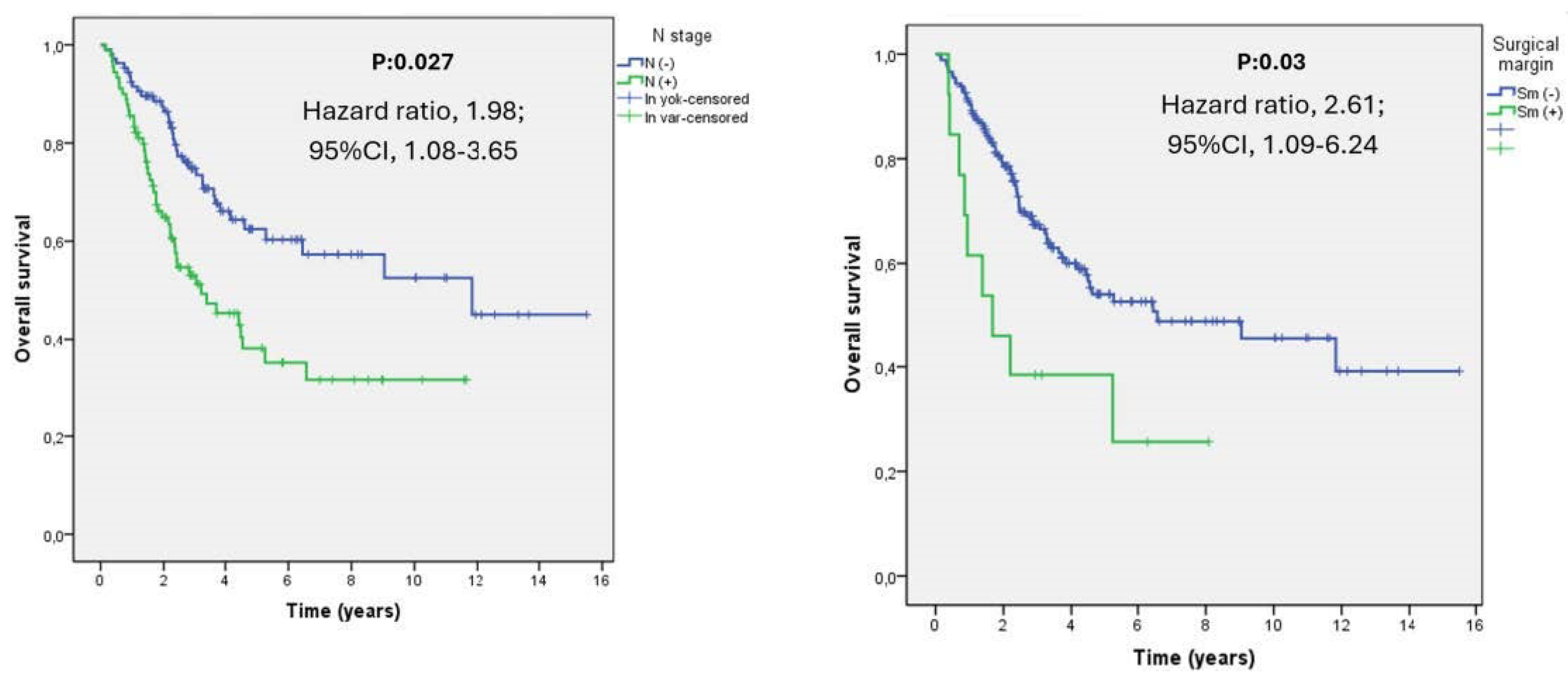 Medicina 60 00818 g003