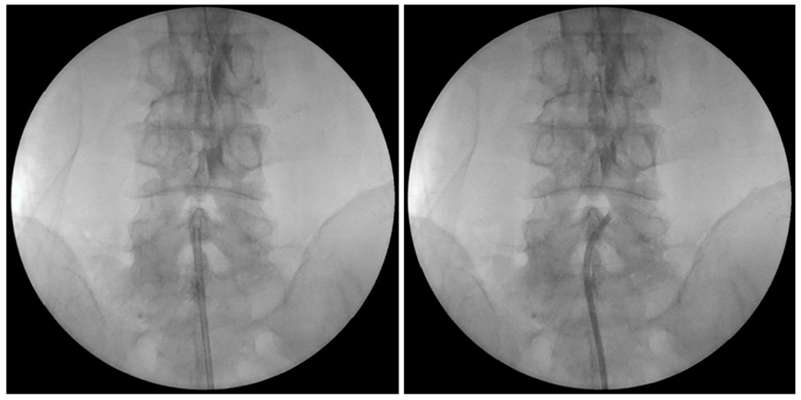 Medicina 60 00839 g002