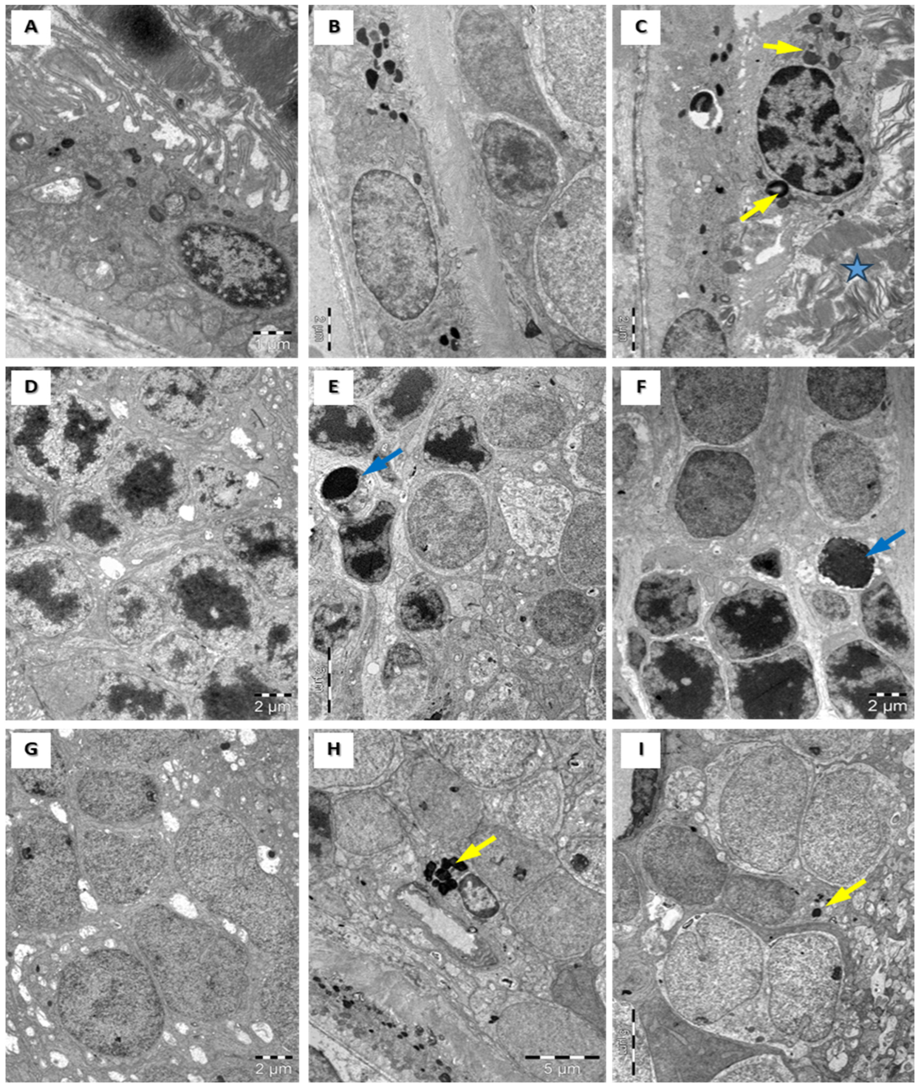 Medicina 60 00846 g003