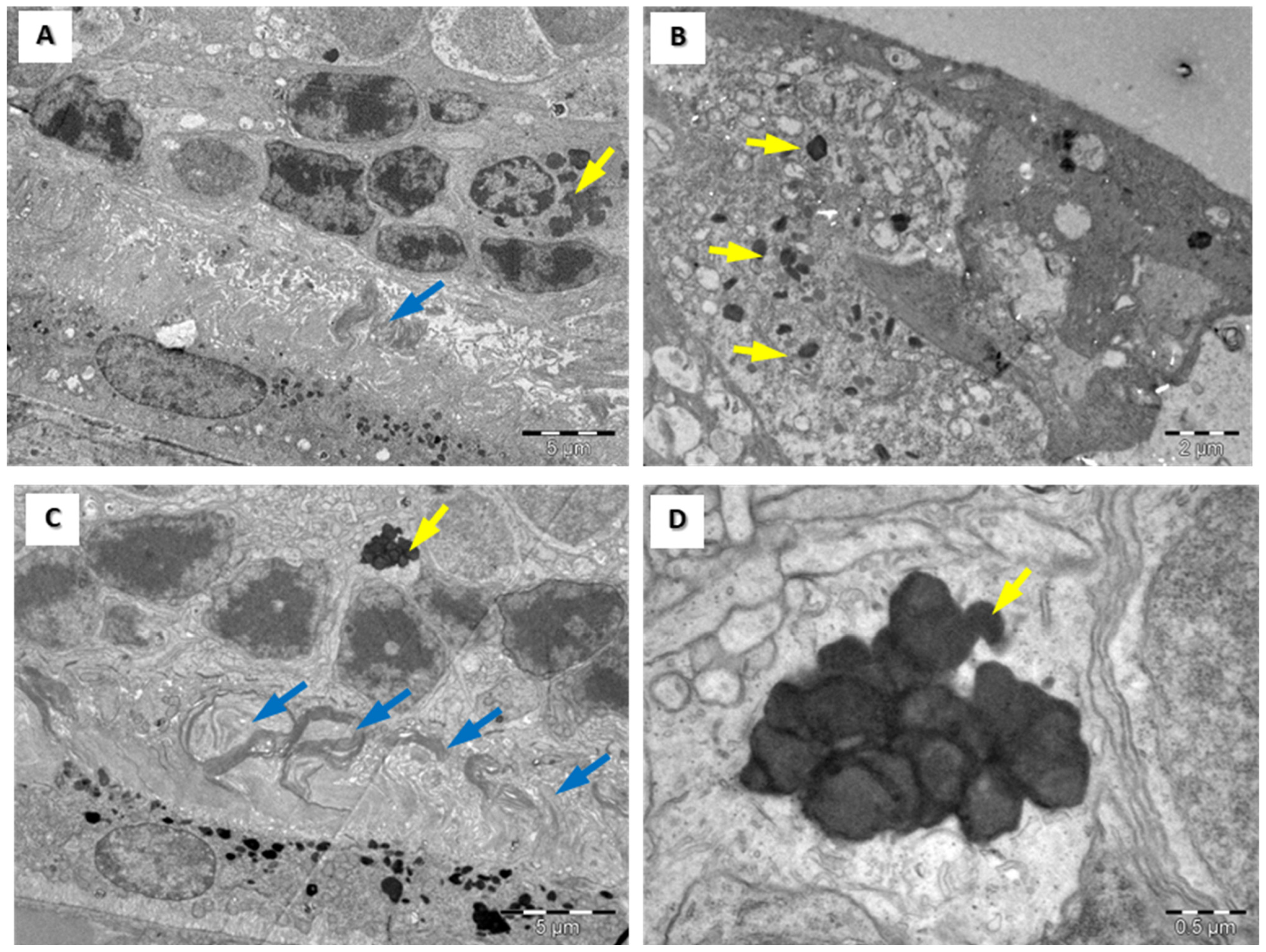 Medicina 60 00846 g004