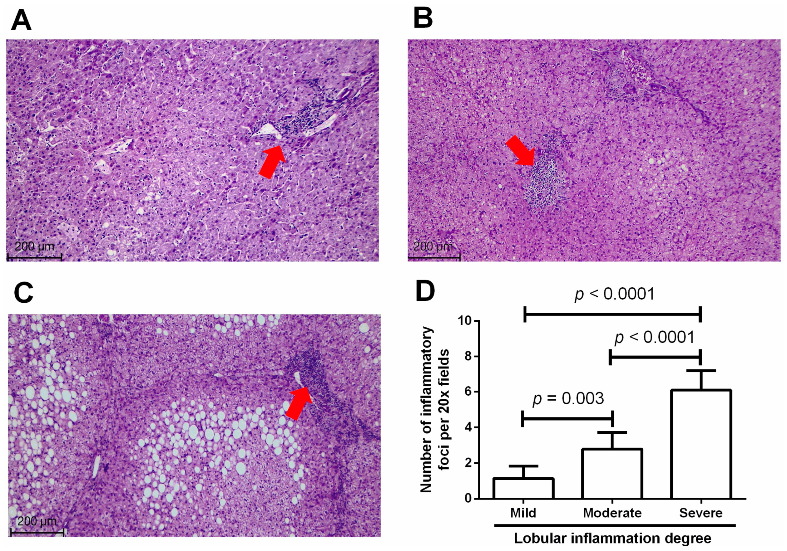 Medicina 60 00862 g001
