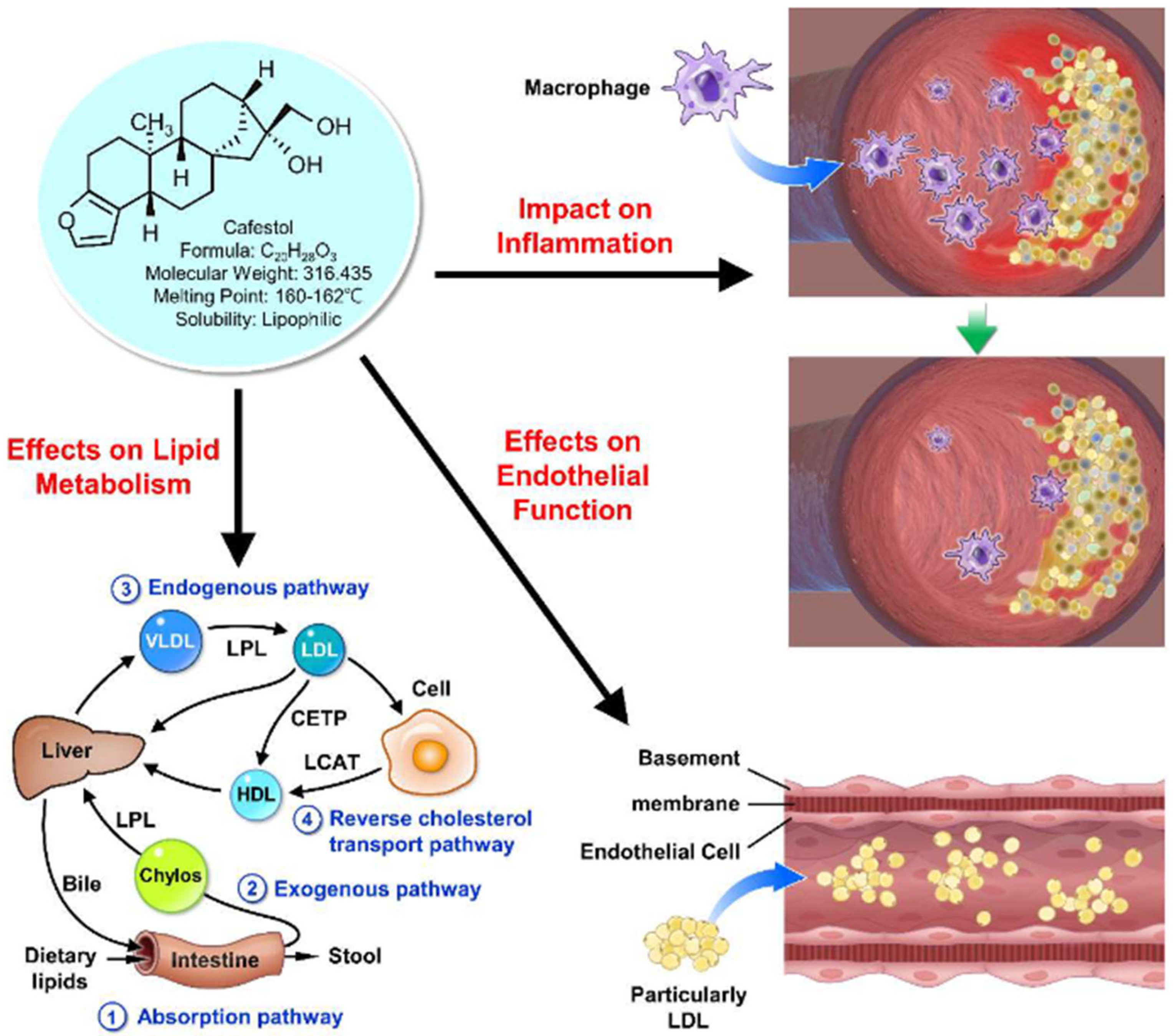 Medicina 60 00867 g001
