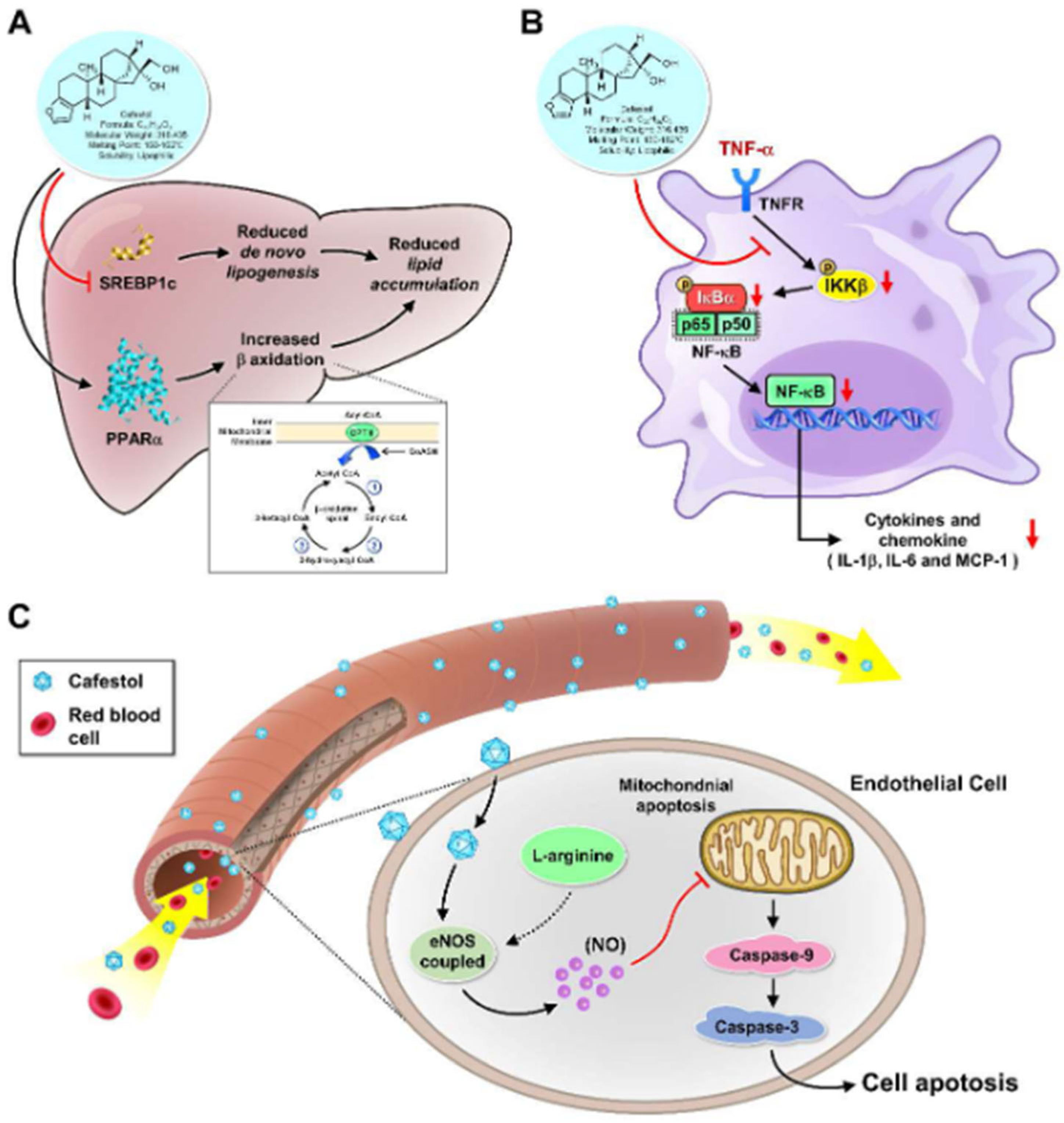 Medicina 60 00867 g002