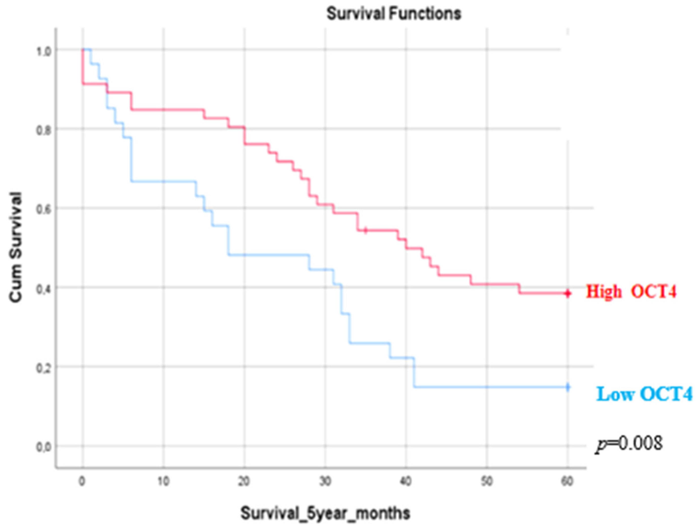 Medicina 60 00870 g002