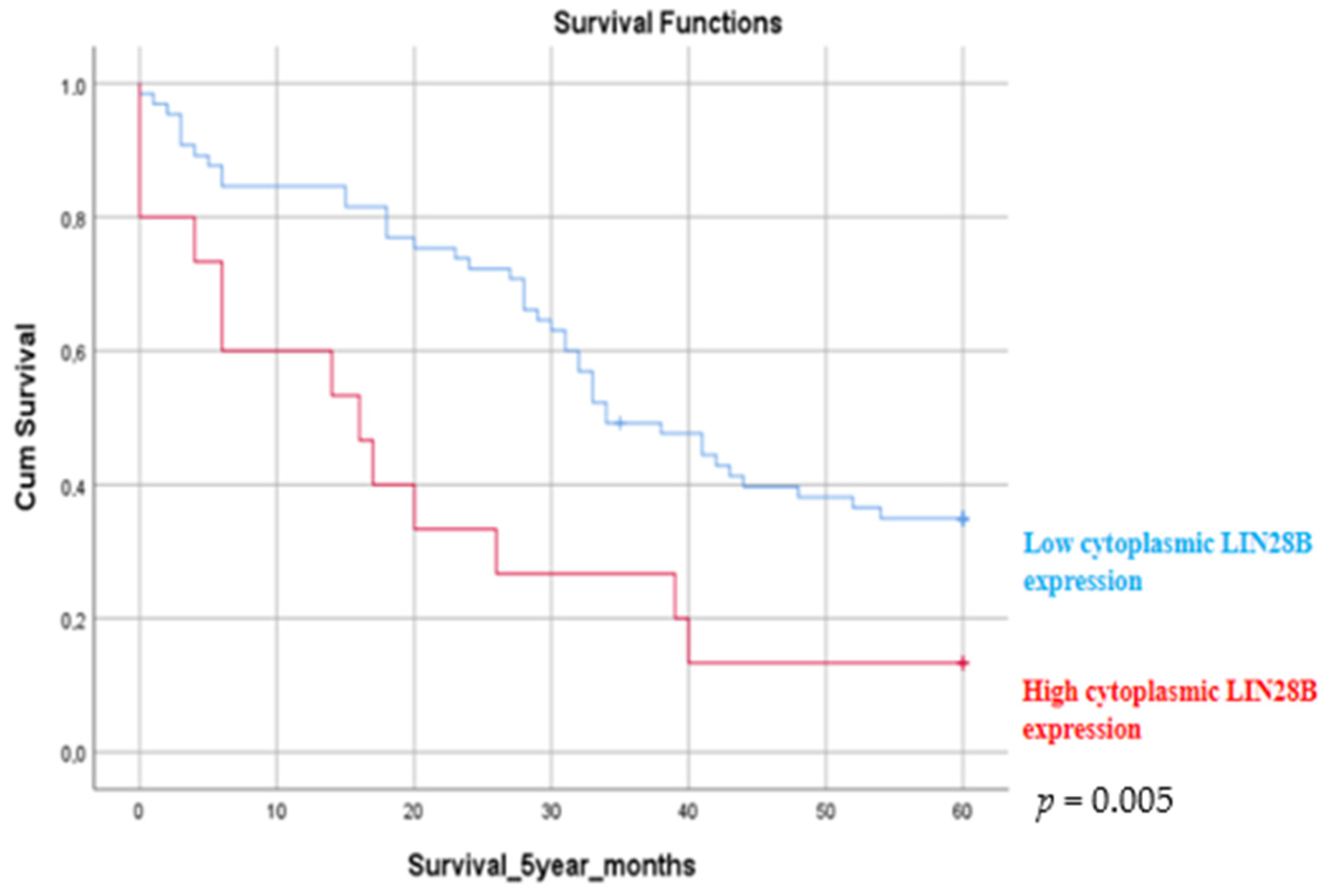 Medicina 60 00870 g006