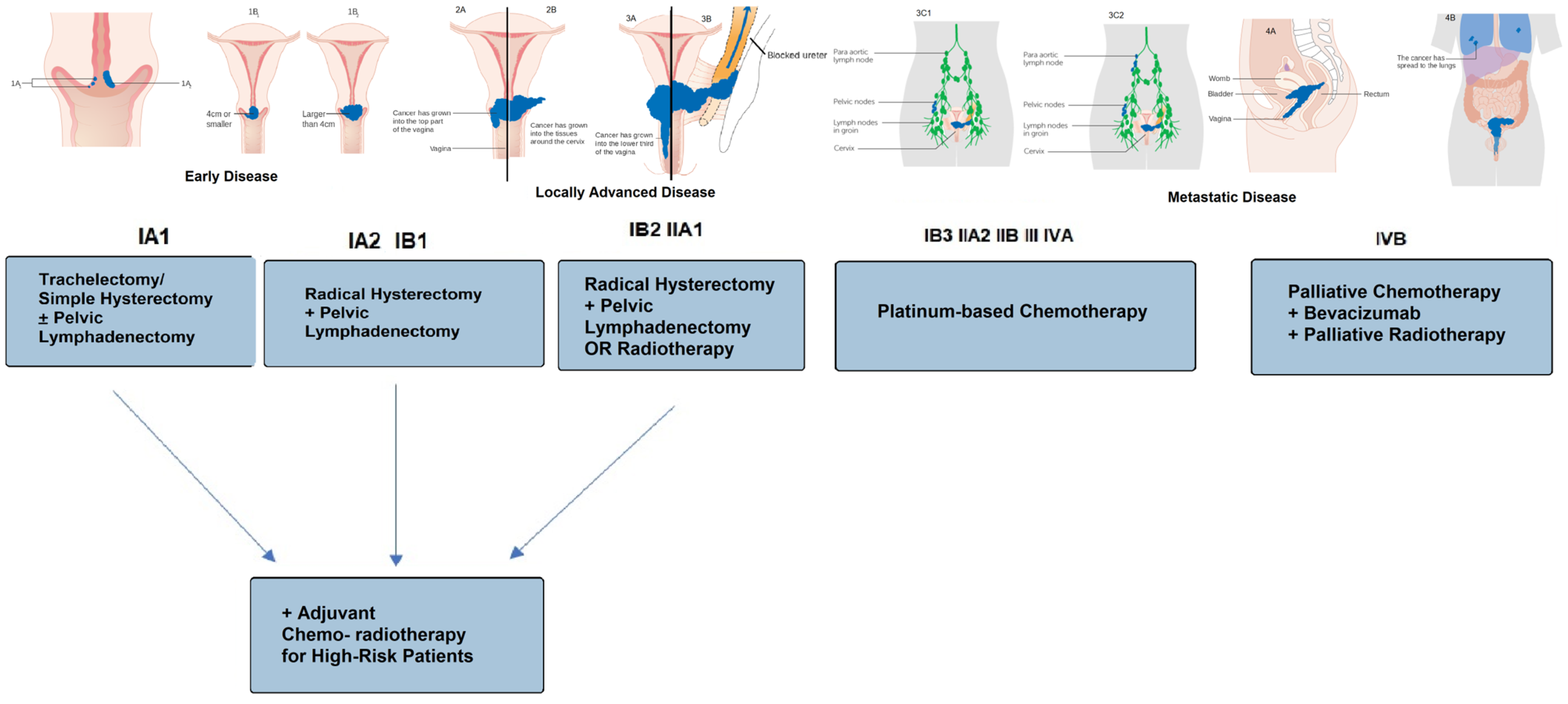 Medicina 60 00871 g001