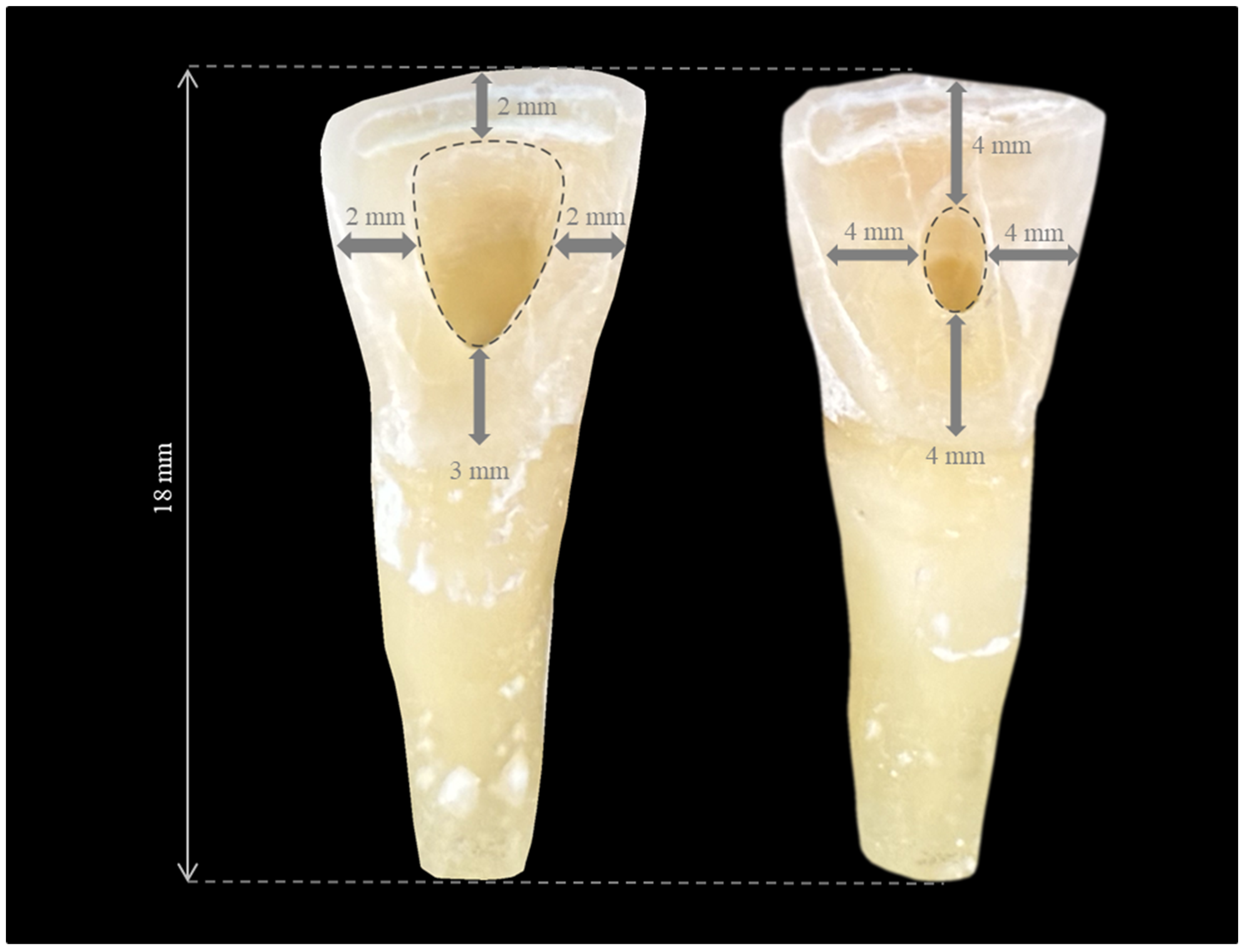 Medicina 60 00878 g002