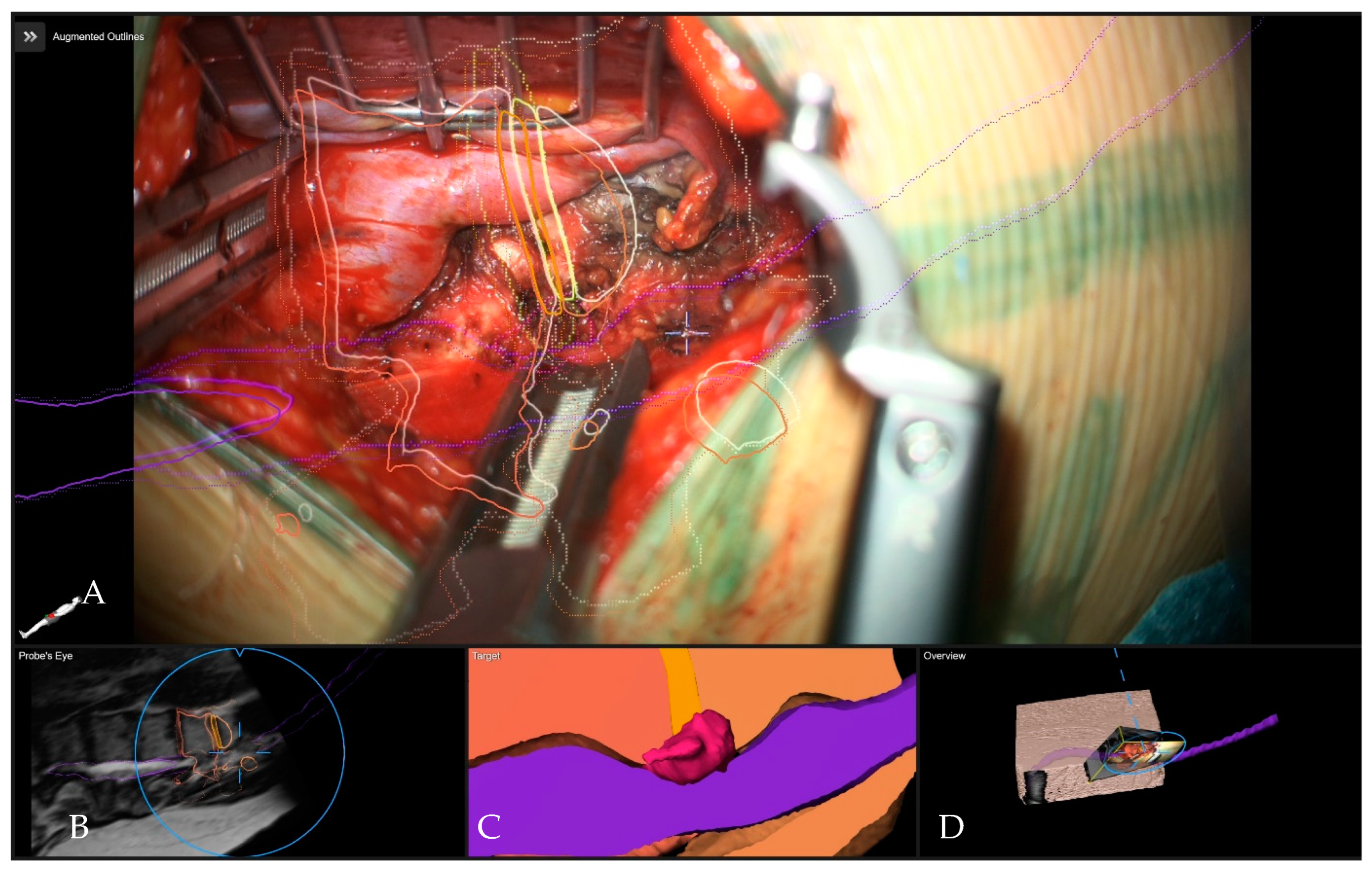 Medicina 60 00887 g014