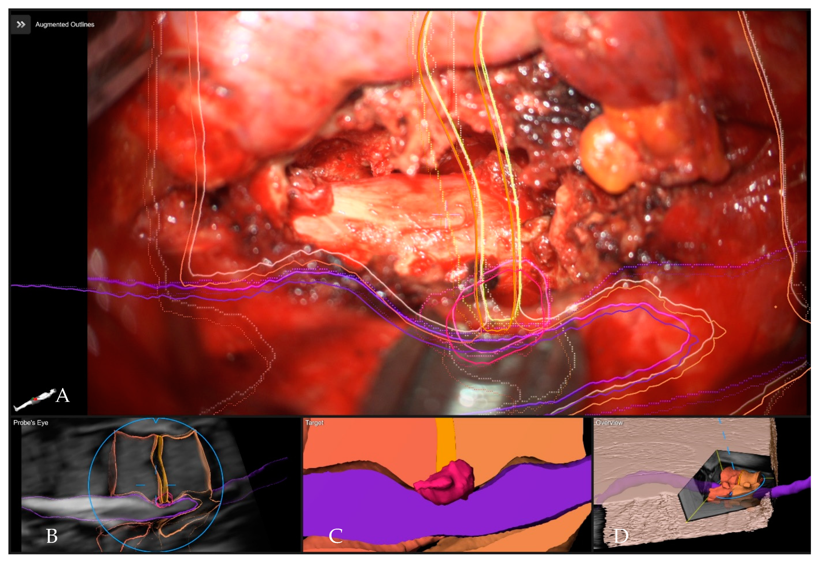 Medicina 60 00887 g015