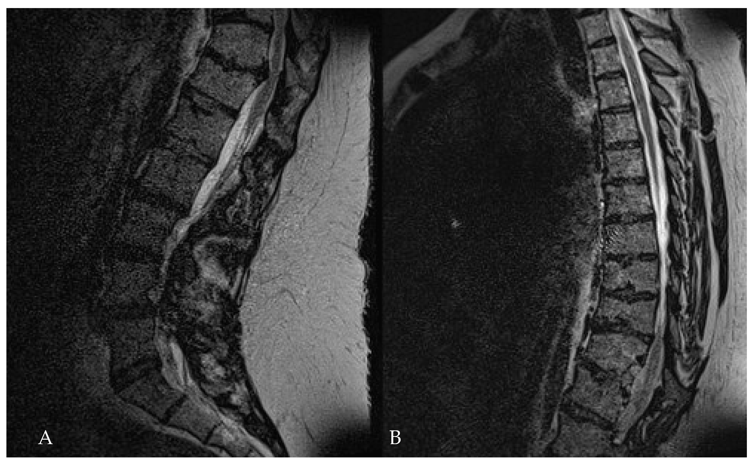 Medicina 60 00887 g016
