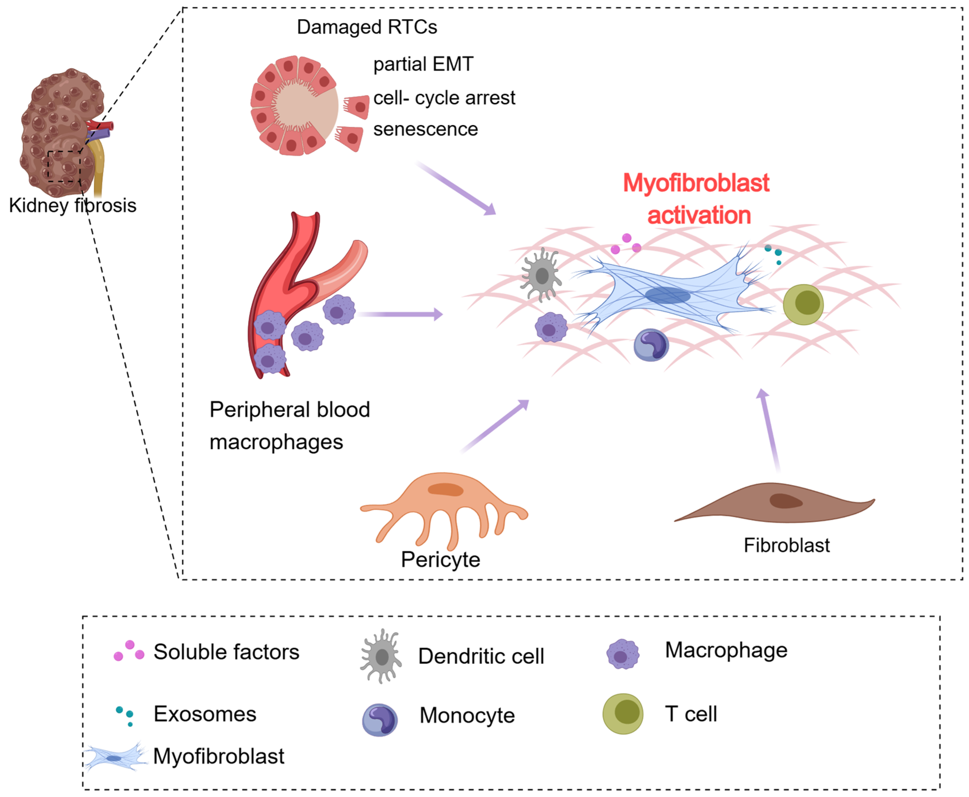 Medicina 60 00888 g001