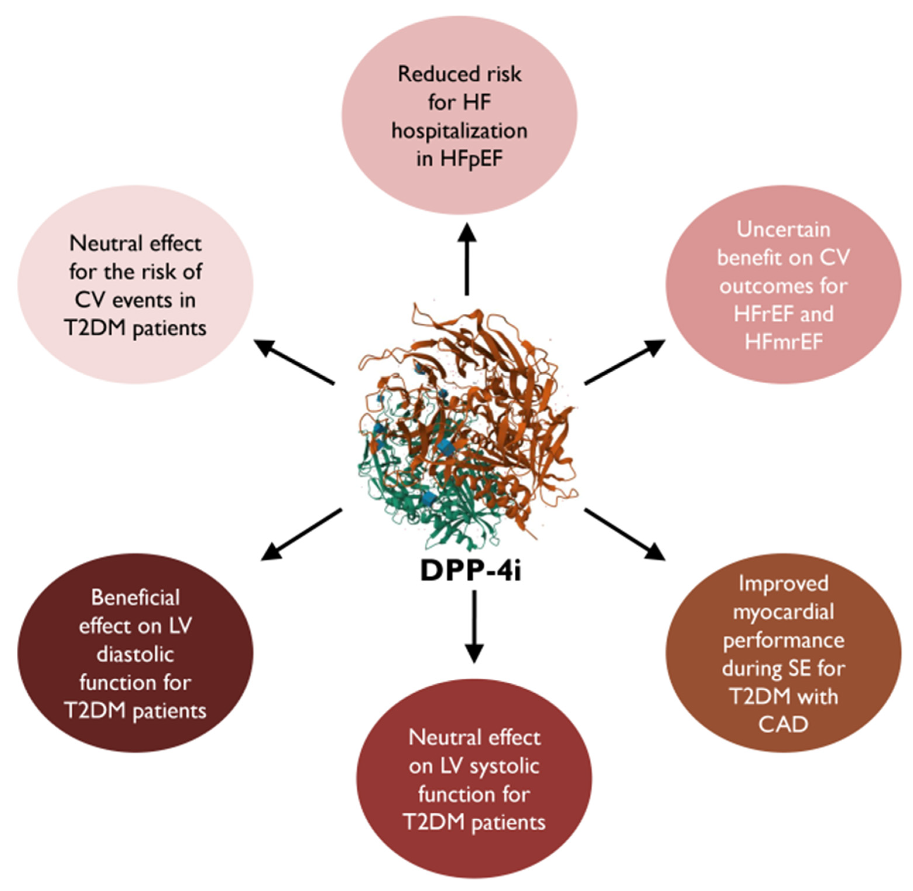 Medicina 60 00912 g002