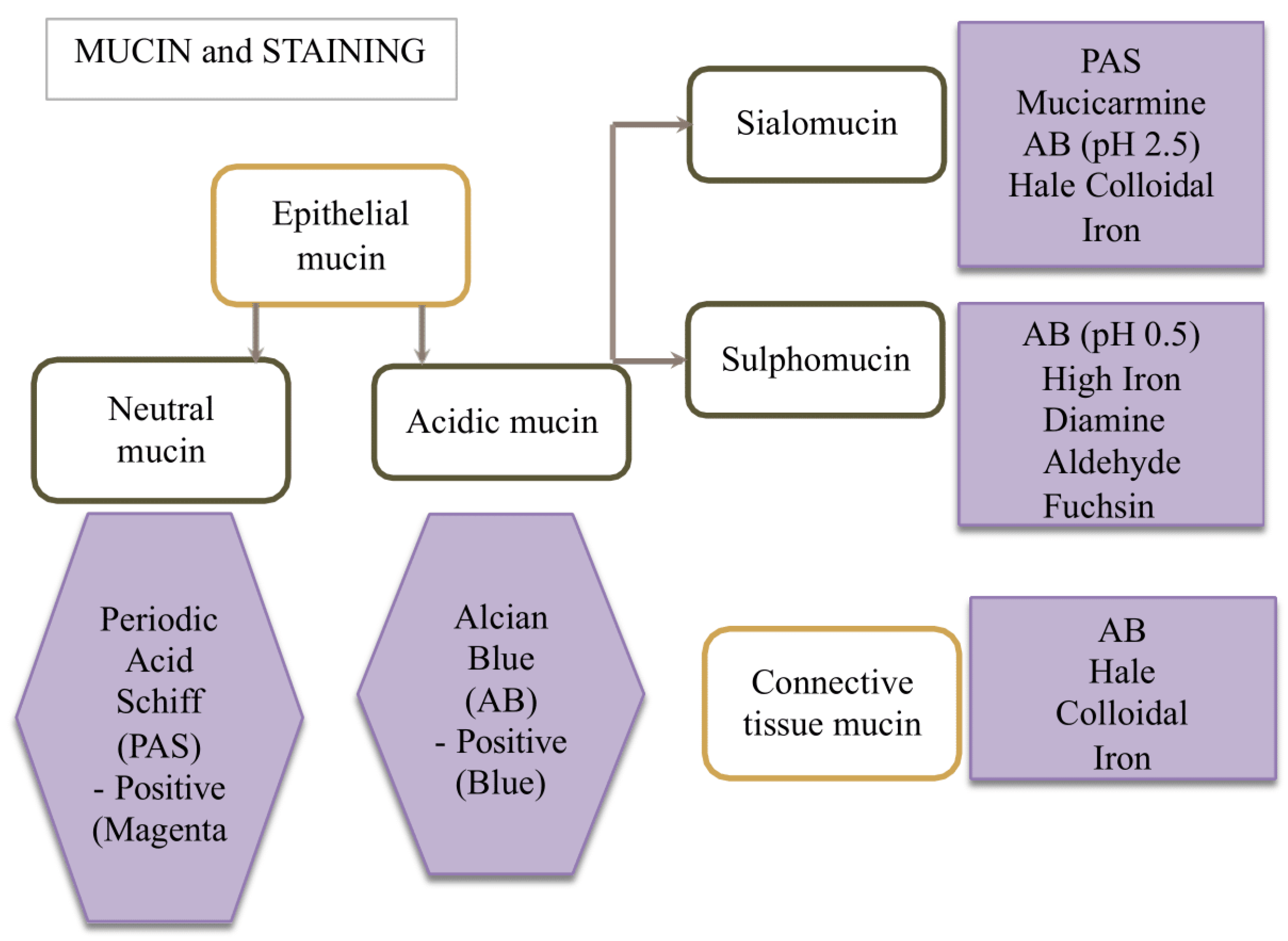Medicina 60 00920 g001
