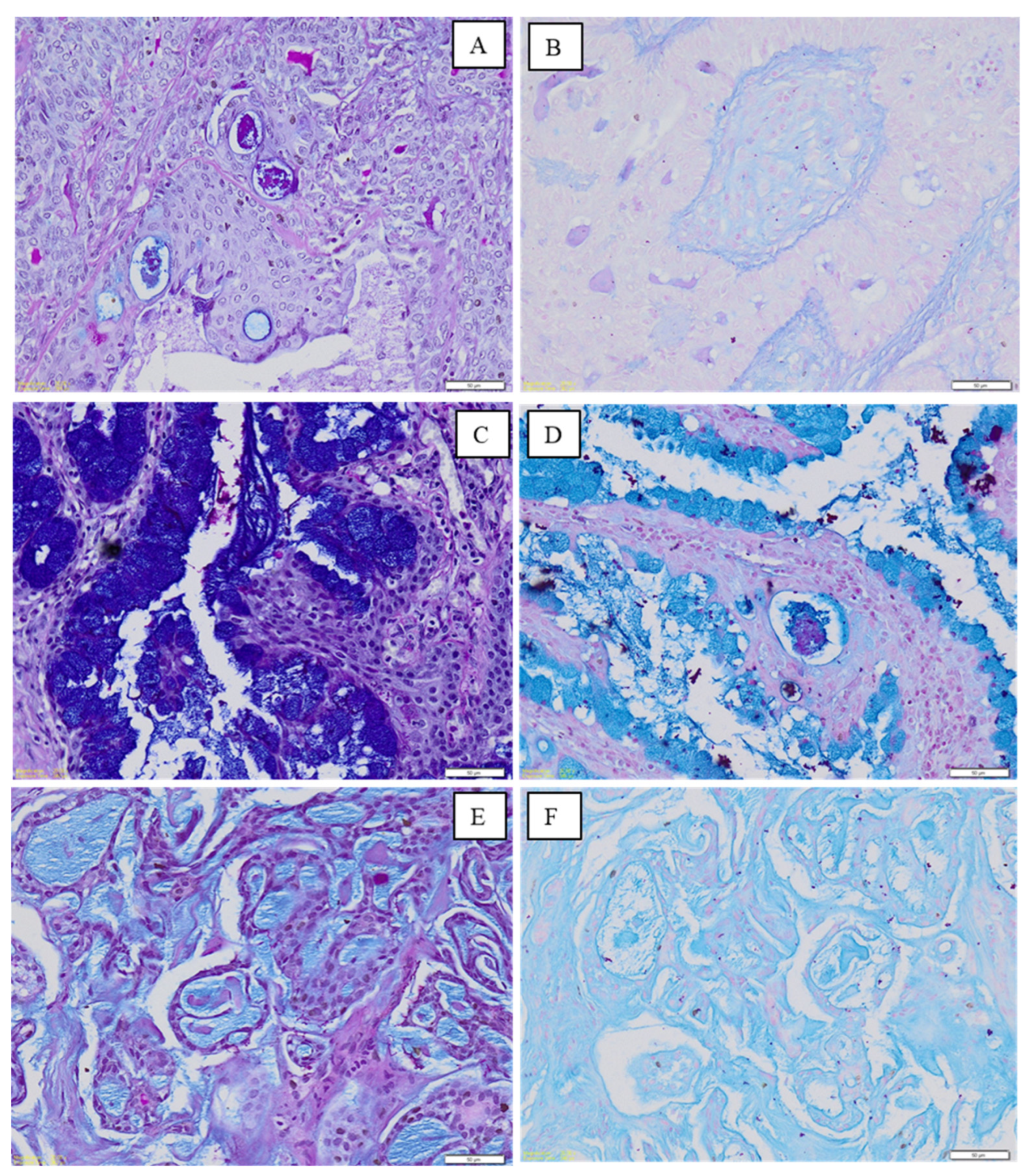 Medicina 60 00920 g003