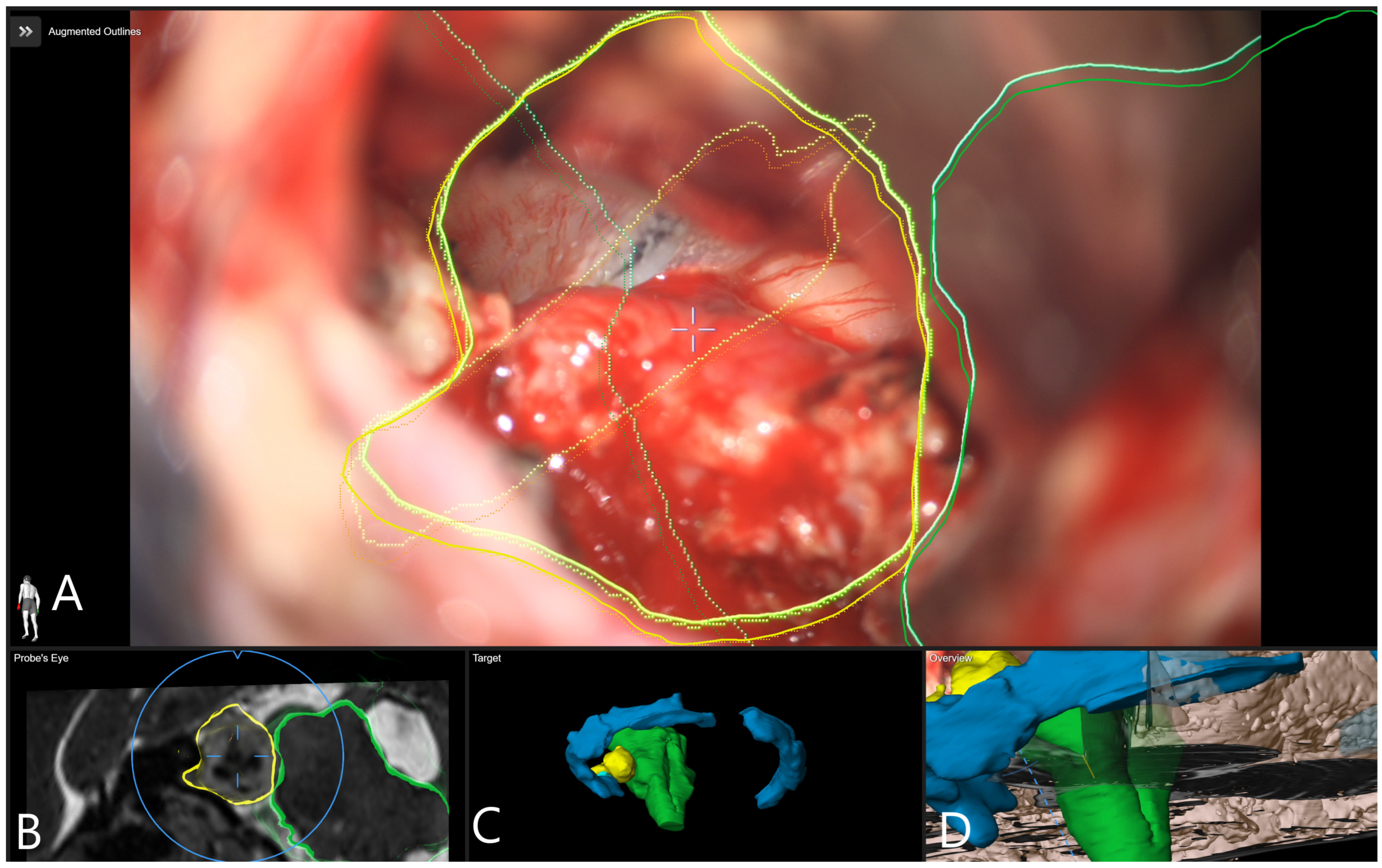 Medicina 60 00932 g010