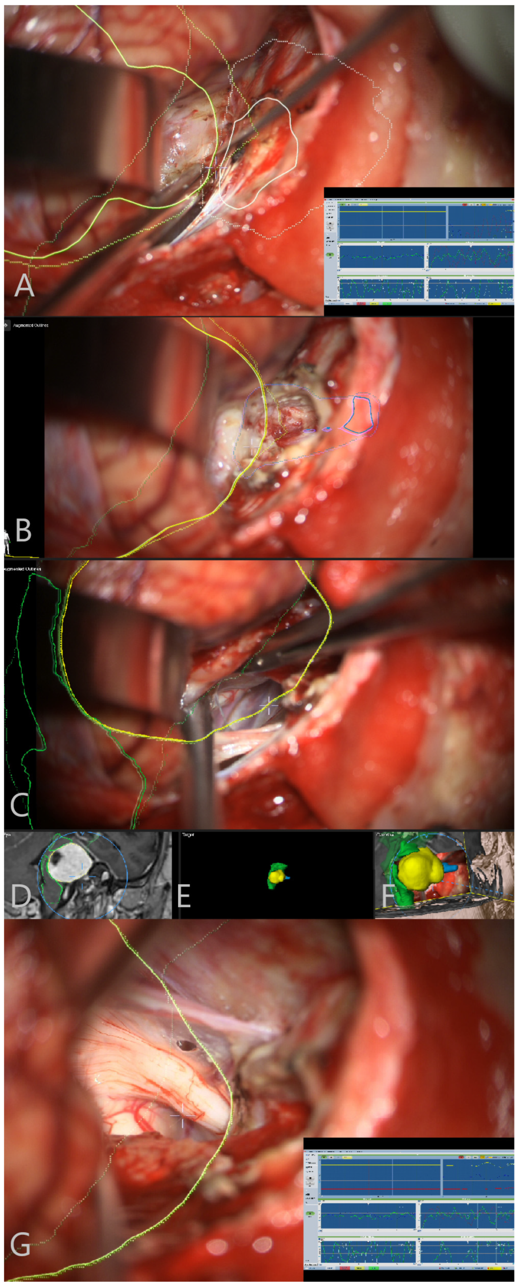 Medicina 60 00932 g013