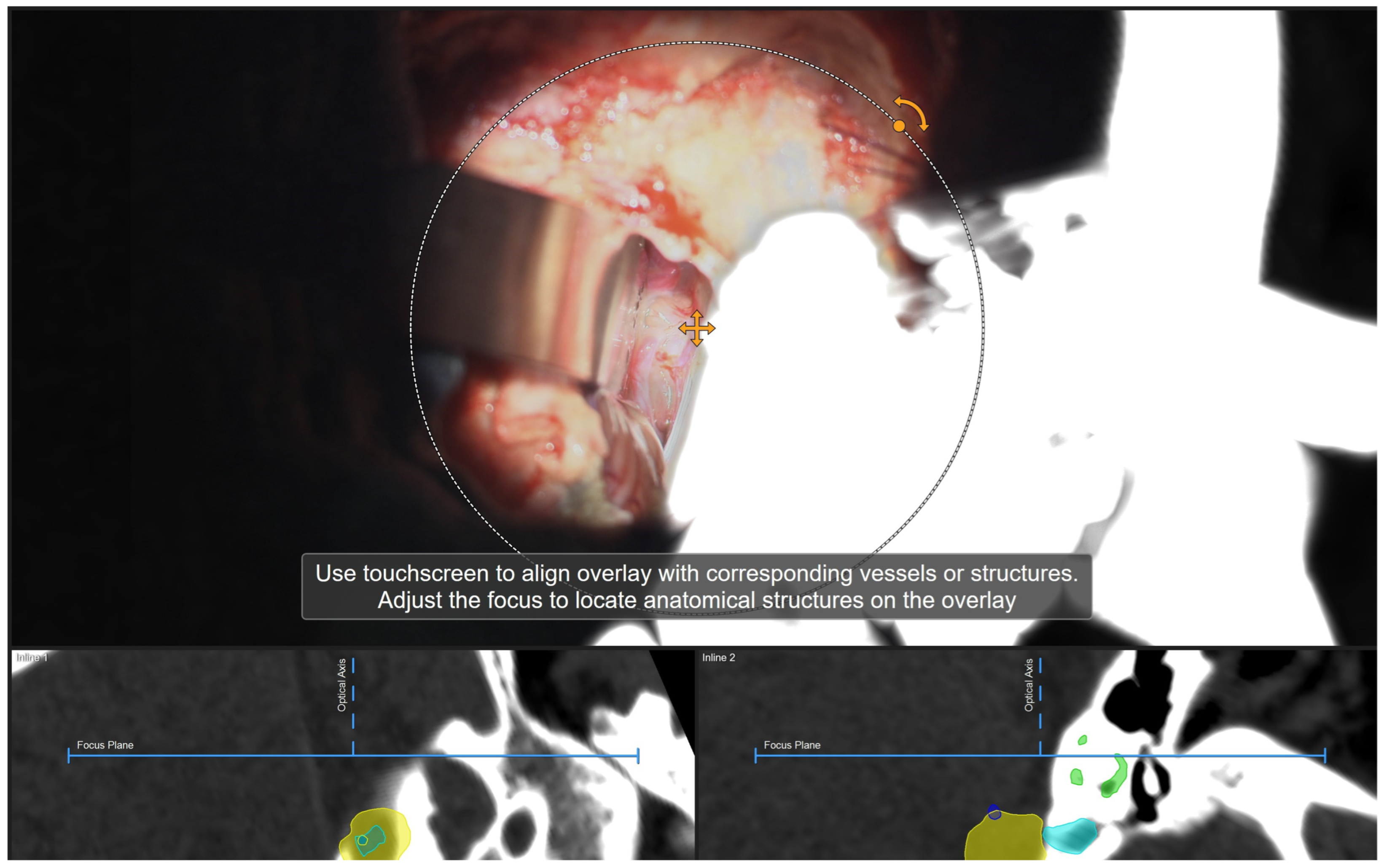 Medicina 60 00932 g015