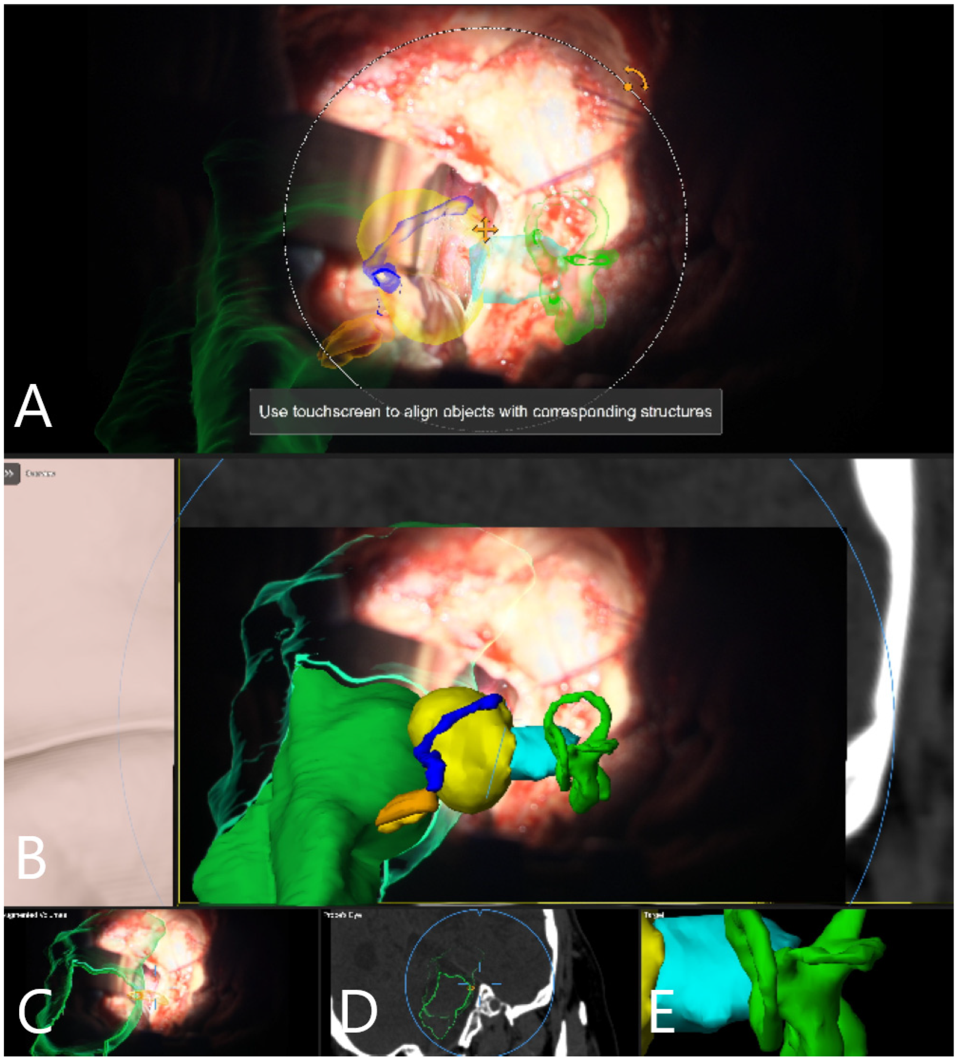 Medicina 60 00932 g016