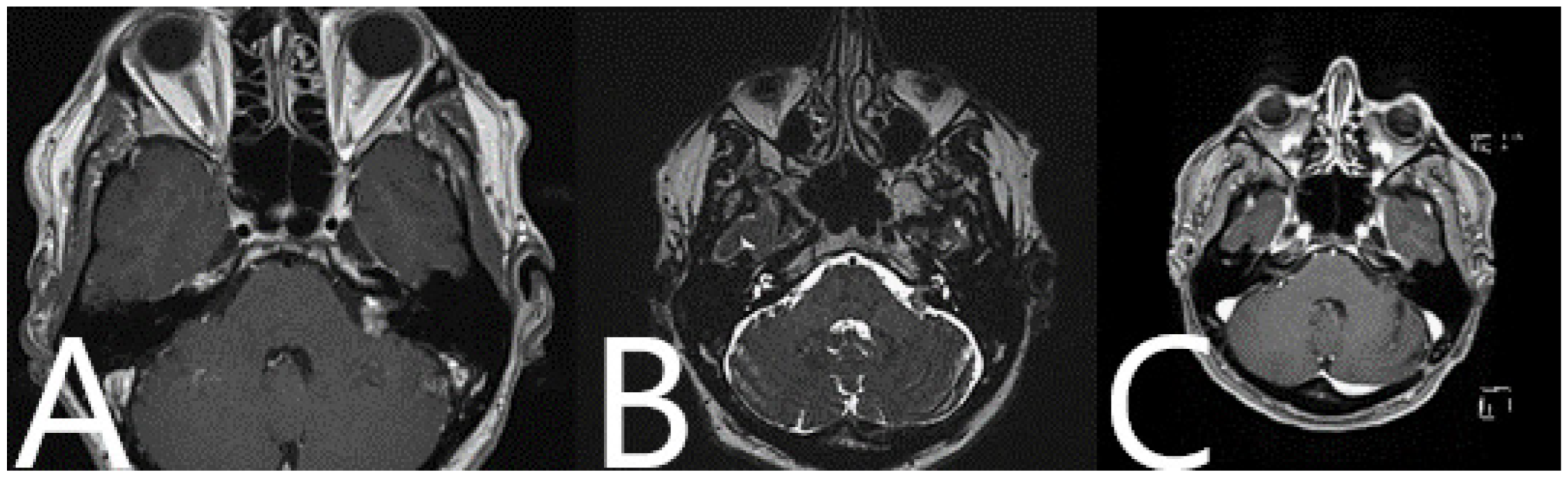 Medicina 60 00932 g019