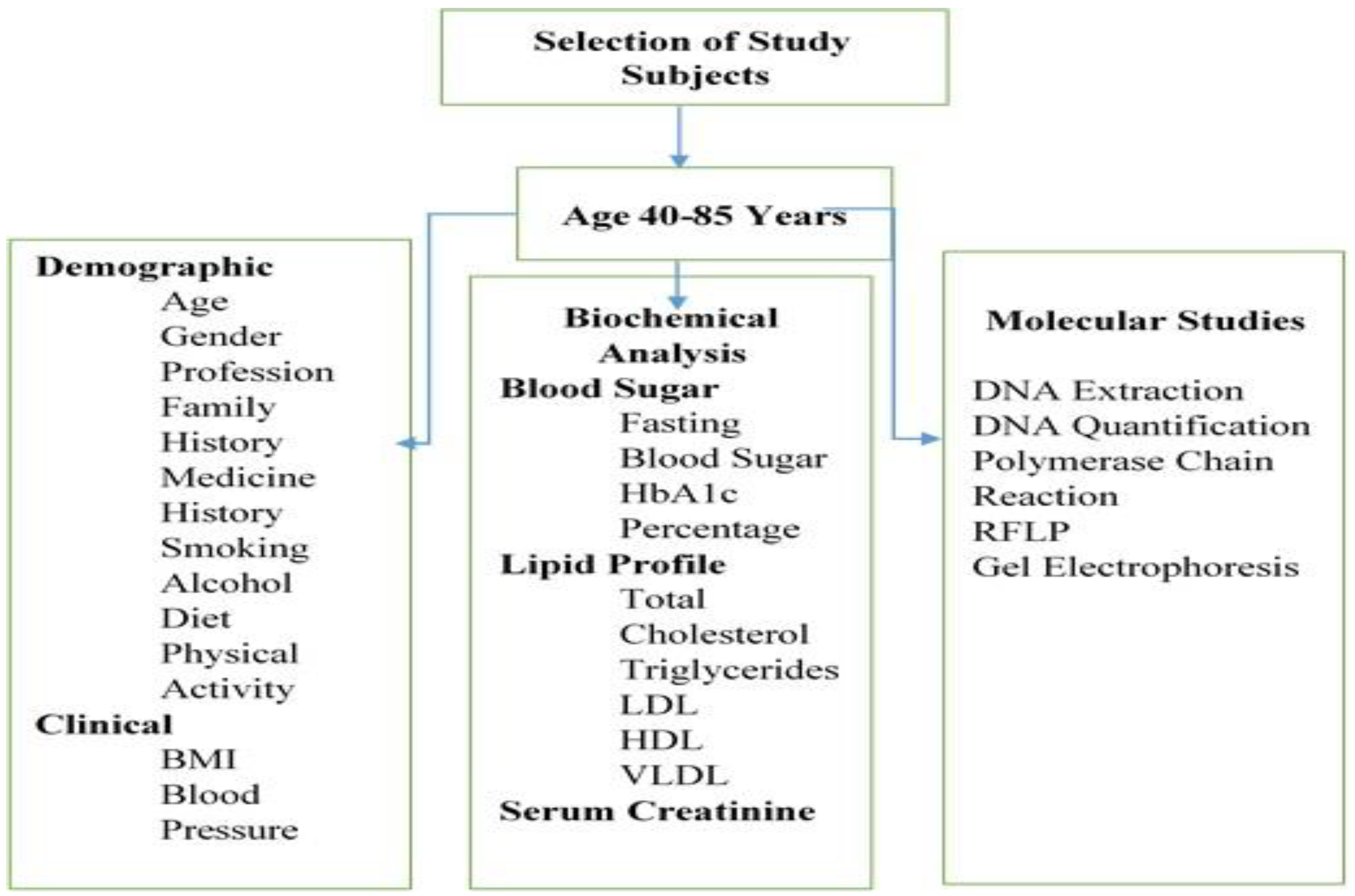 Medicina 60 00961 g001