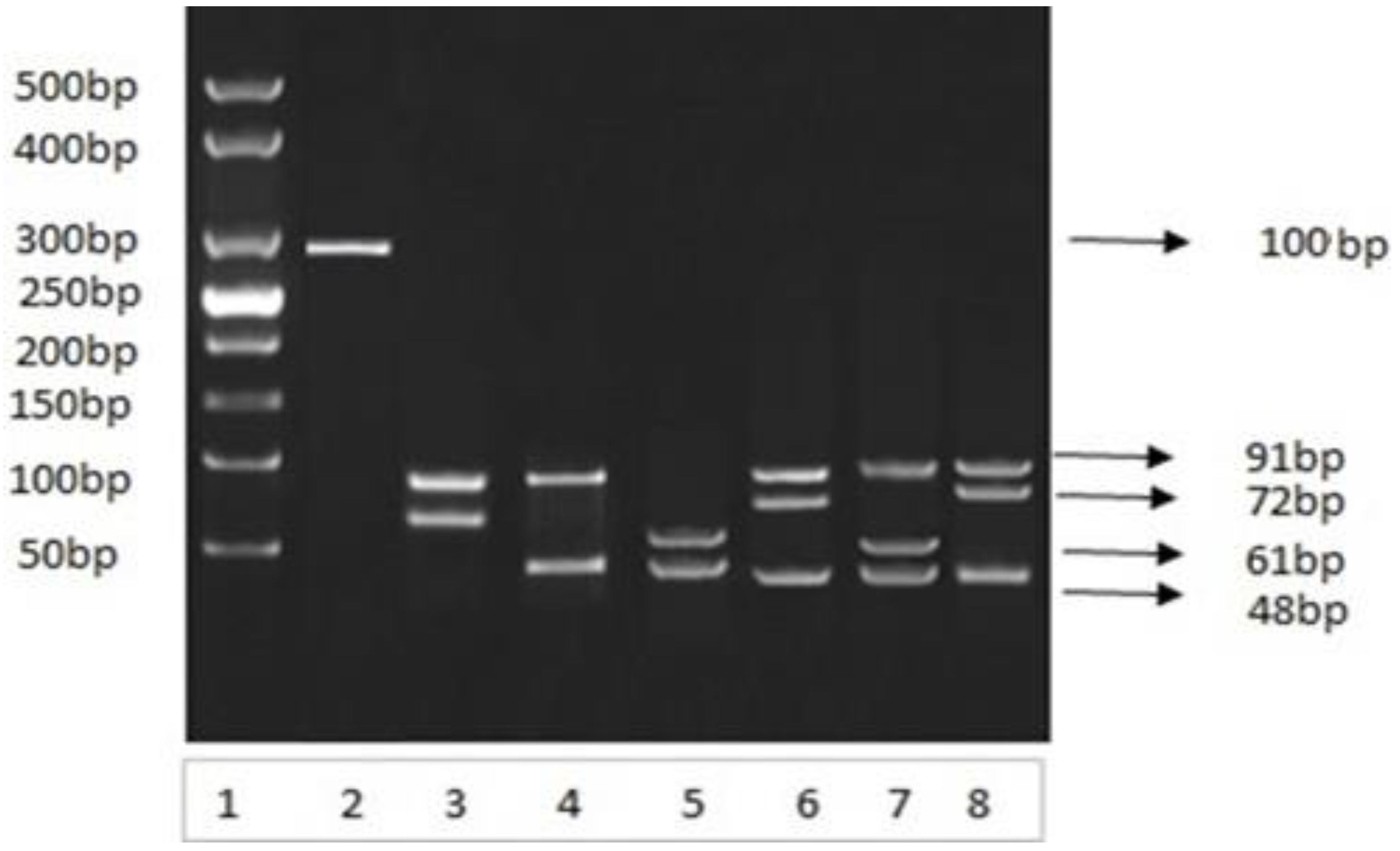 Medicina 60 00961 g006
