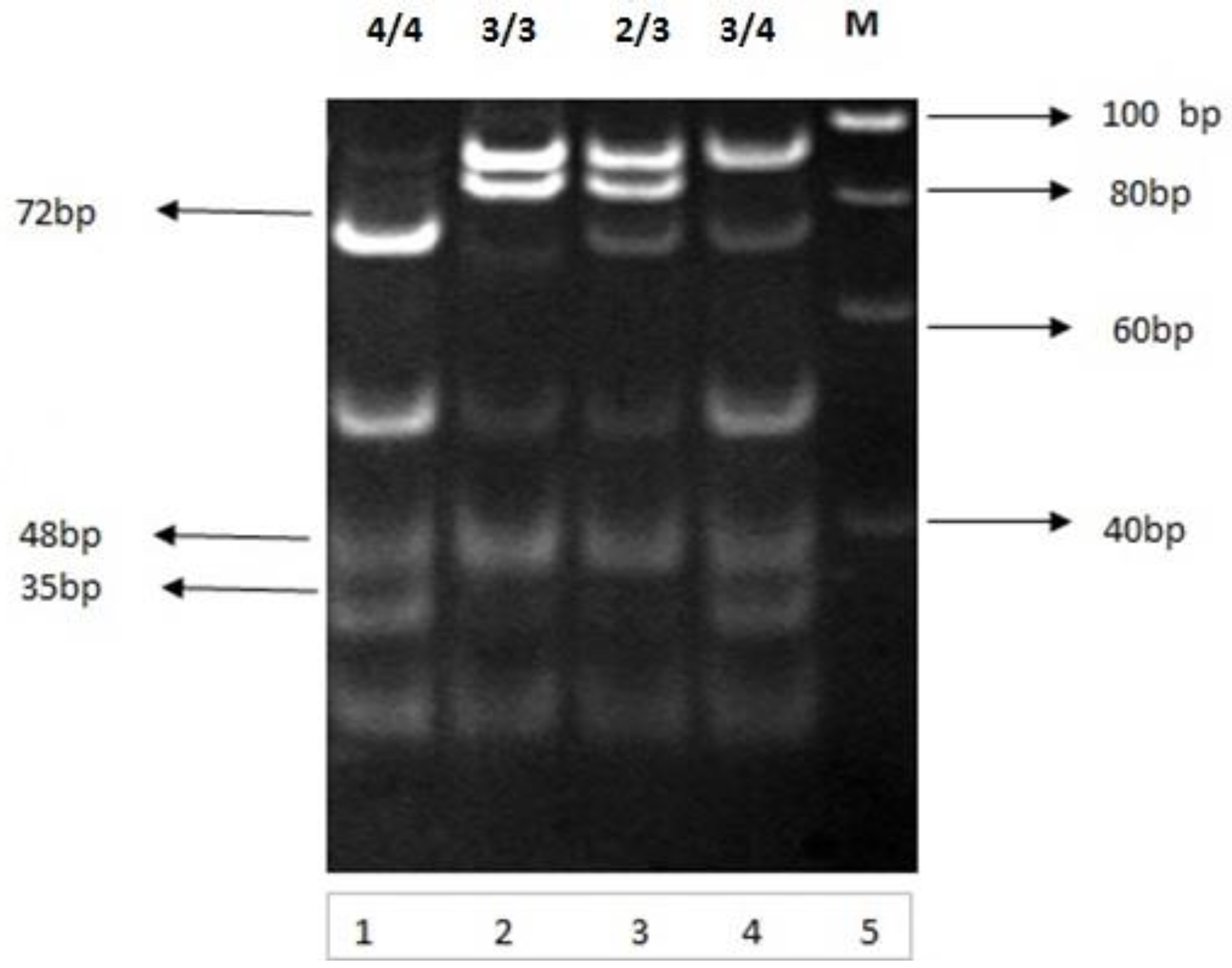 Medicina 60 00961 g007