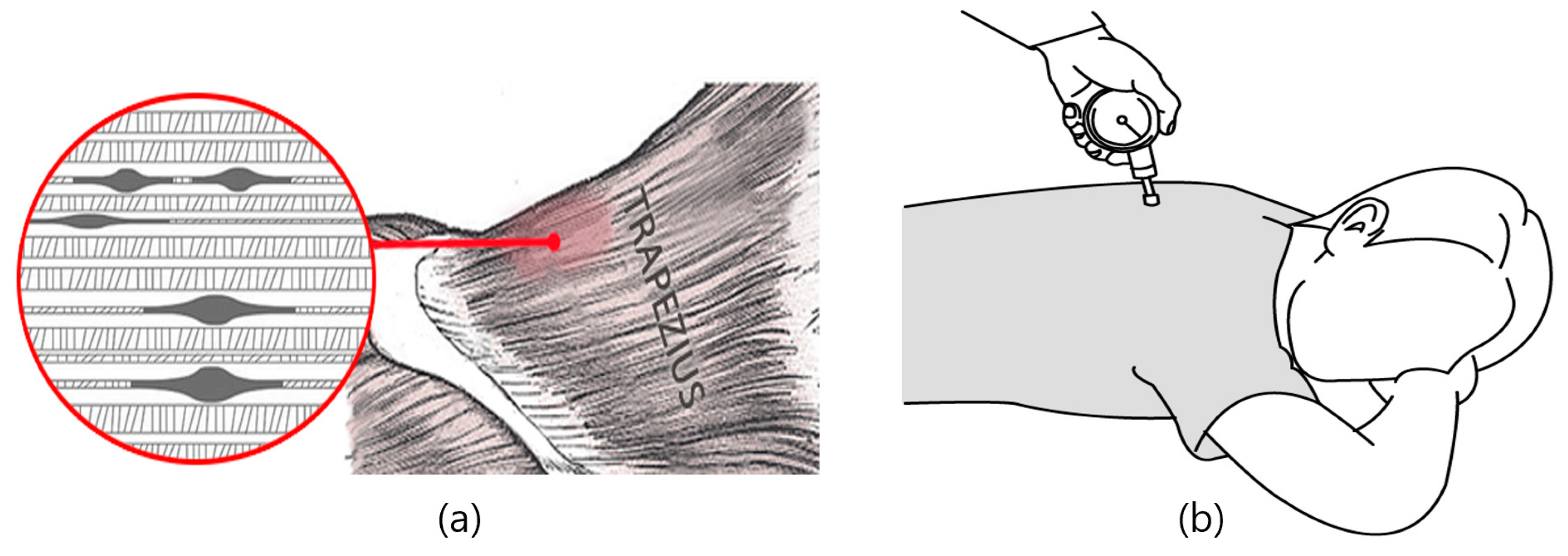 Medicina 60 00976 g003