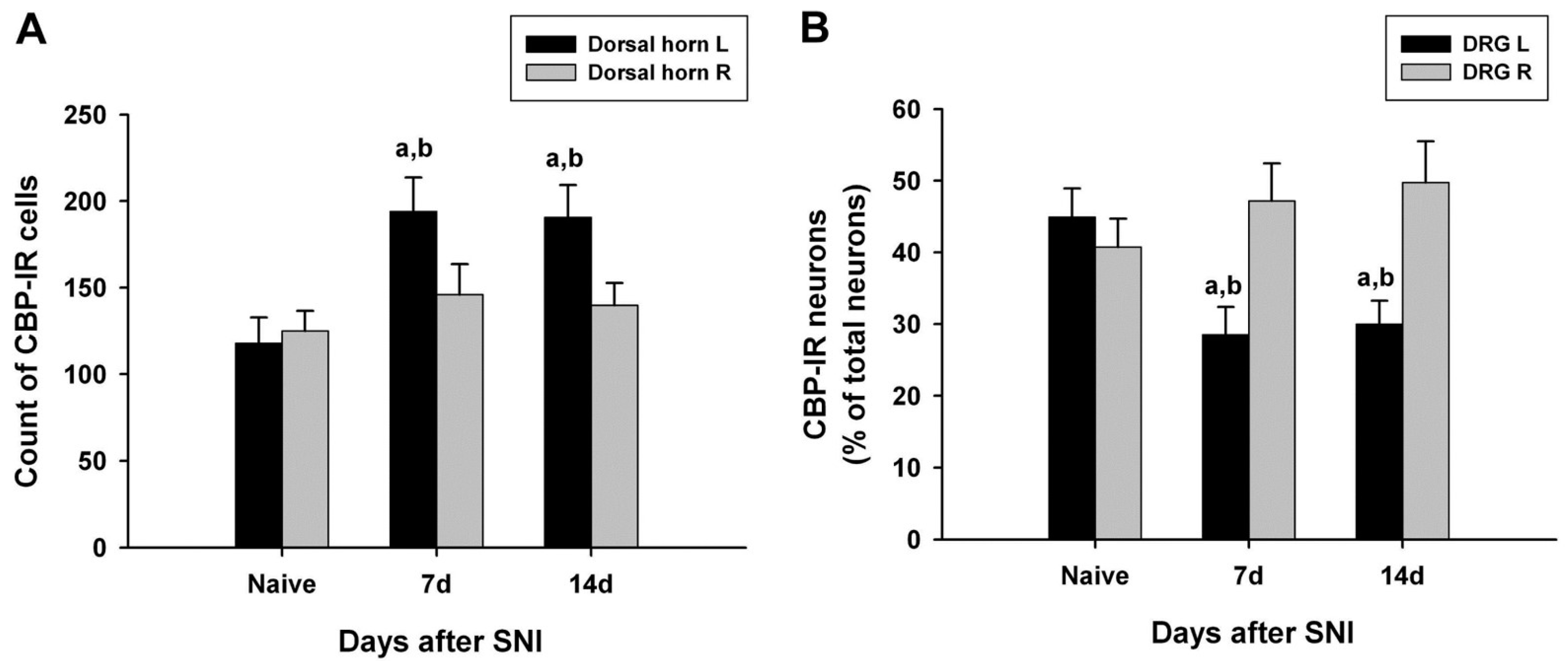 Medicina 60 00989 g002