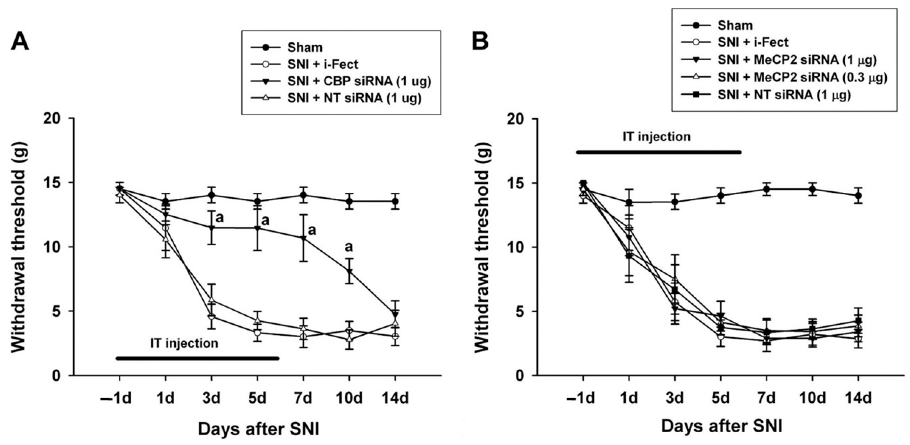 Medicina 60 00989 g006