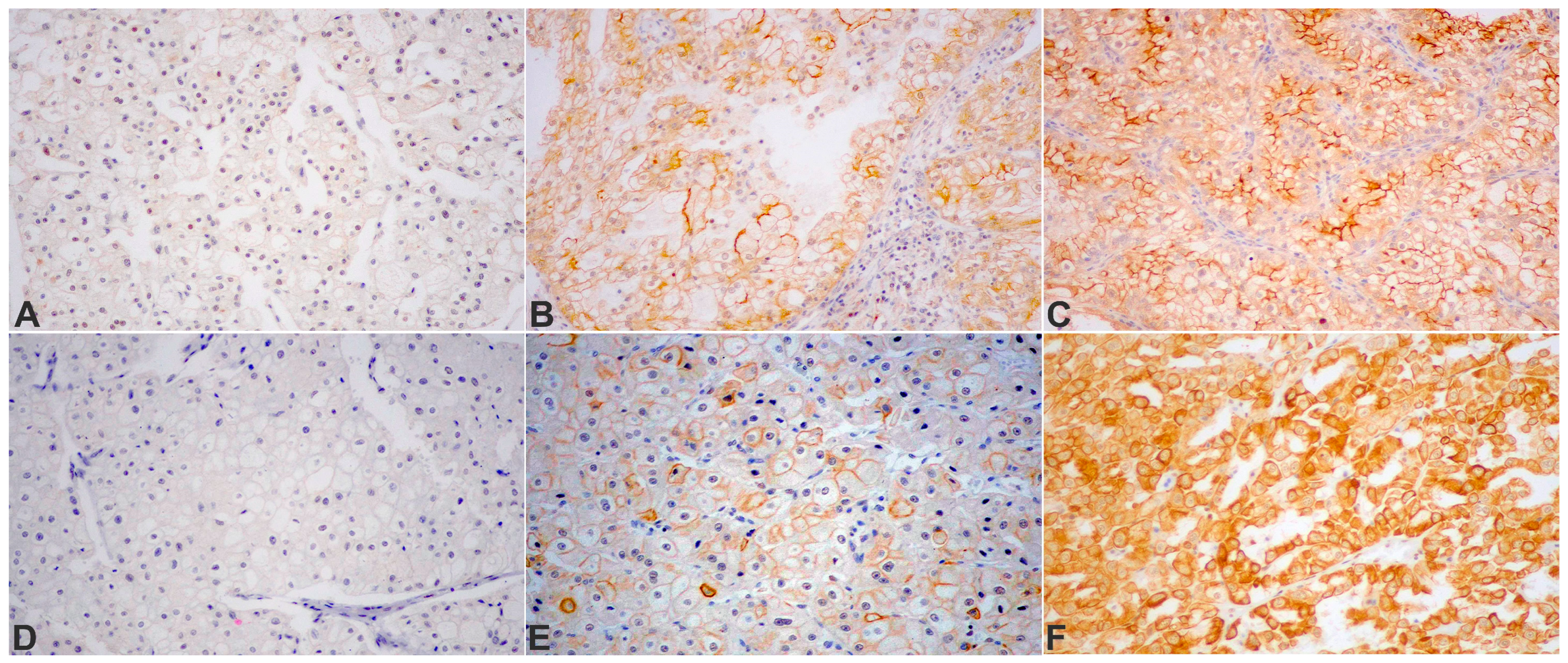 Medicina 60 00996 g001