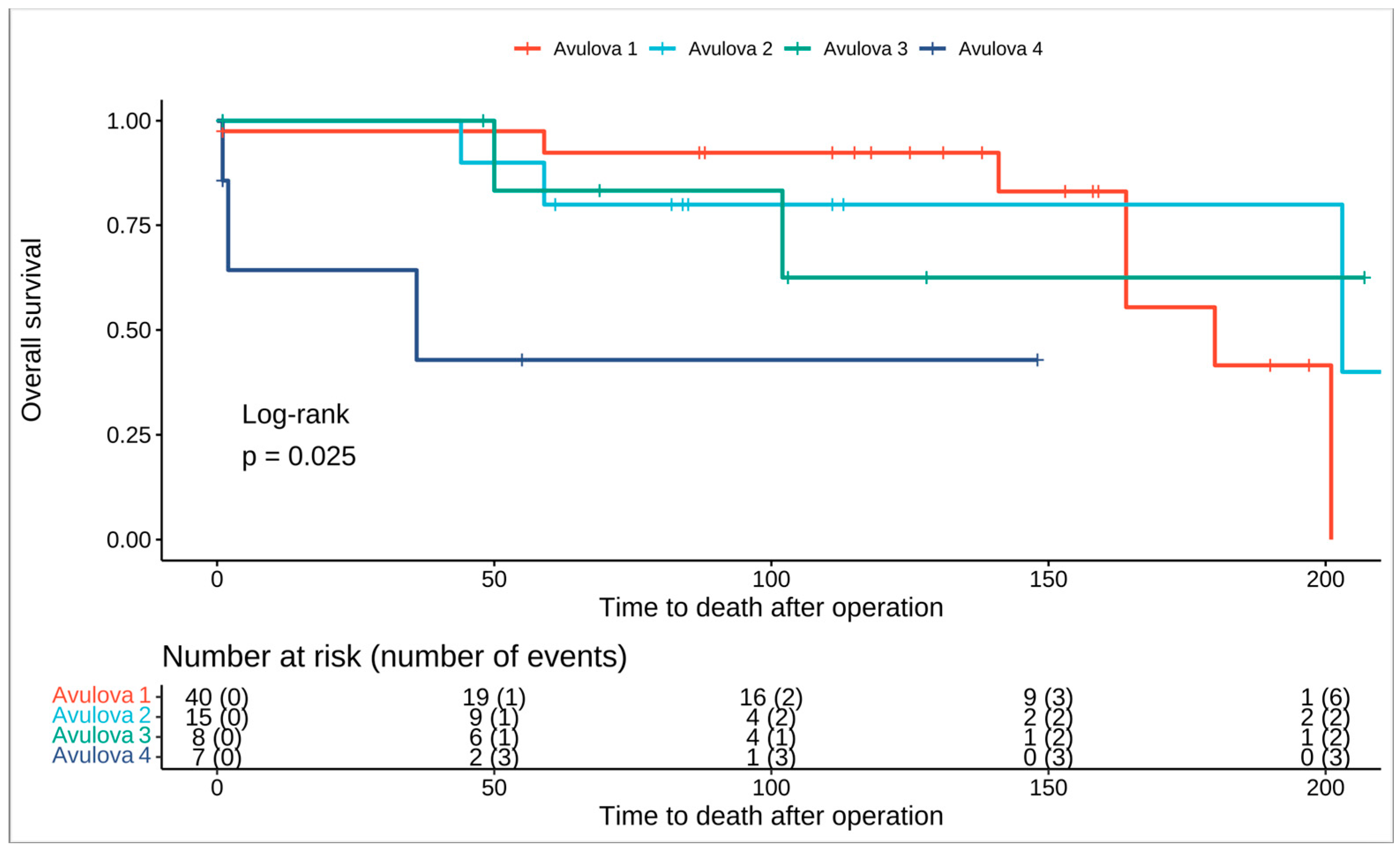 Medicina 60 00996 g002