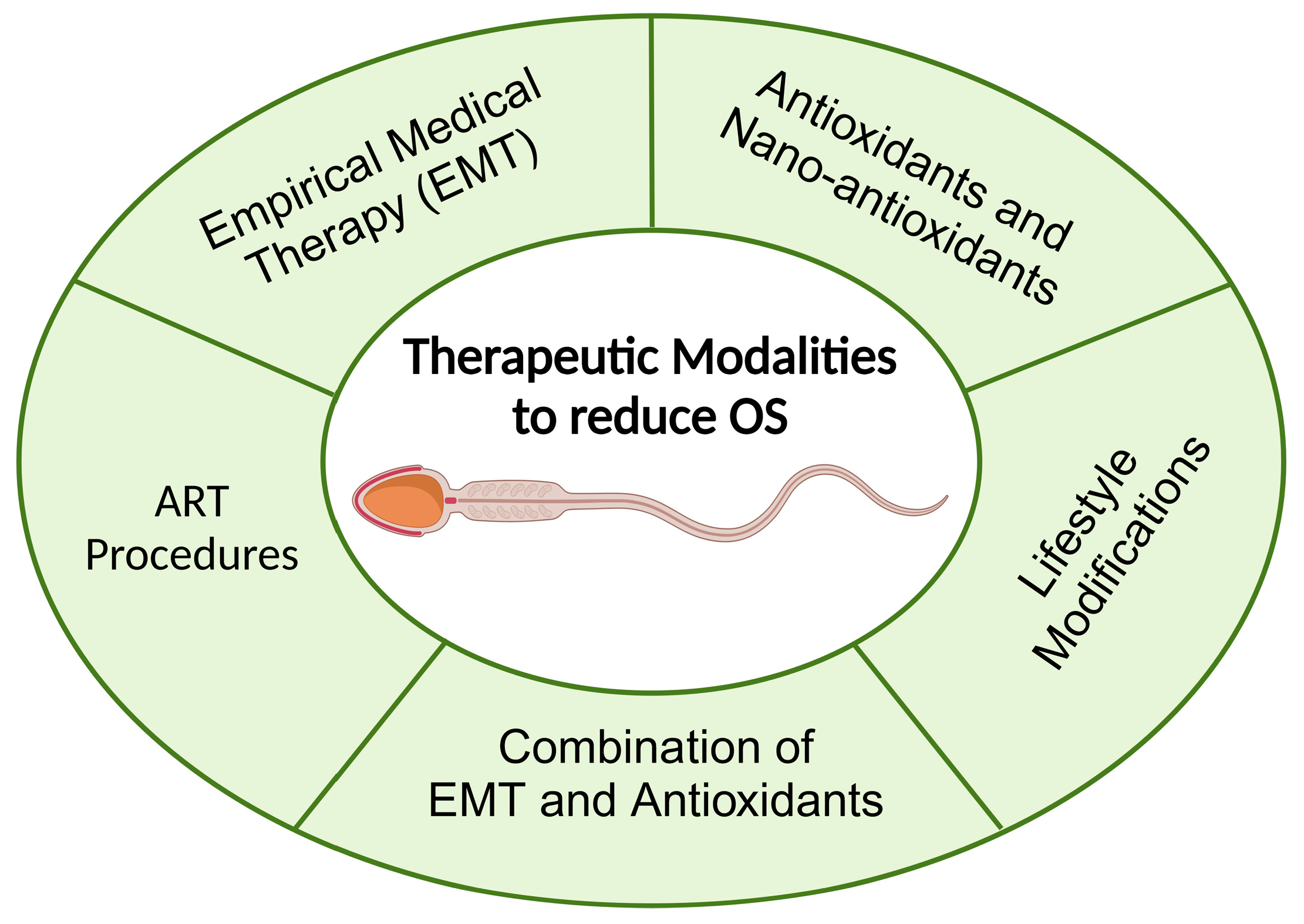 Medicina 60 01008 g002